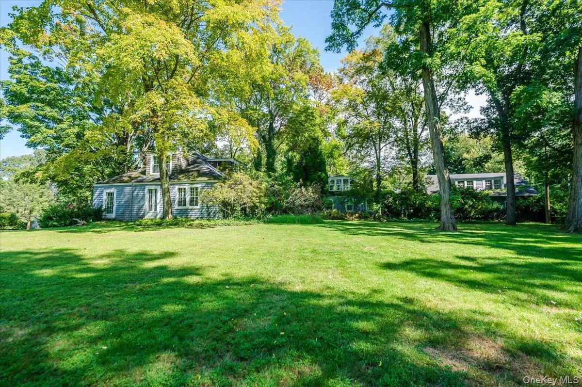 View of green lawn featuring view of scattered trees View of green lawn featuring view of scattered trees