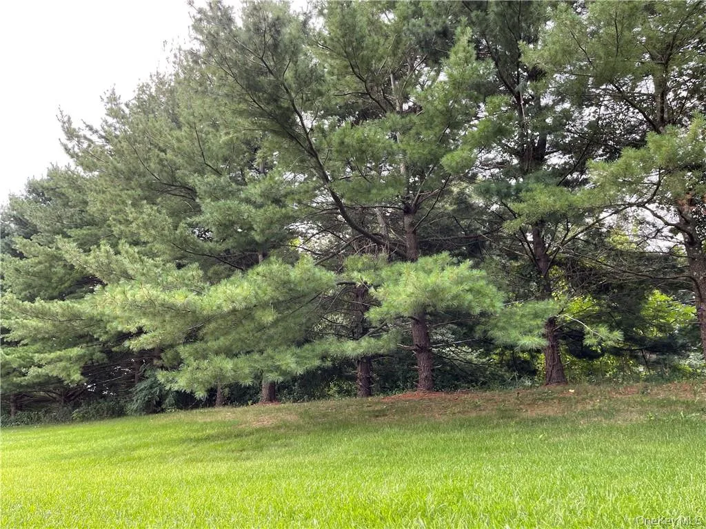 100 Hillside Drive, Wallkill, NY, 3 Bedrooms Bedrooms, 6 Rooms Rooms,2 BathroomsBathrooms,Residential Lease,Idx,Hillside,0,912622 100 Hillside Drive, Wallkill, NY, 3 Bedrooms Bedrooms, 6 Rooms Rooms,2 BathroomsBathrooms,Residential Lease,Idx,Hillside,0,912622