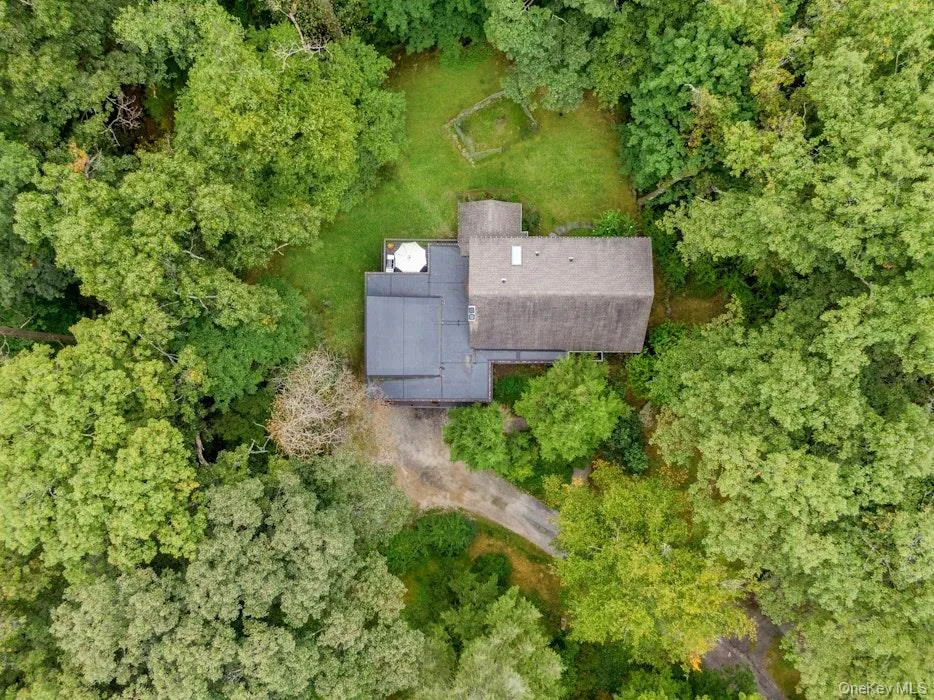Birds eye view of bird song life! Birds eye view of bird song life!