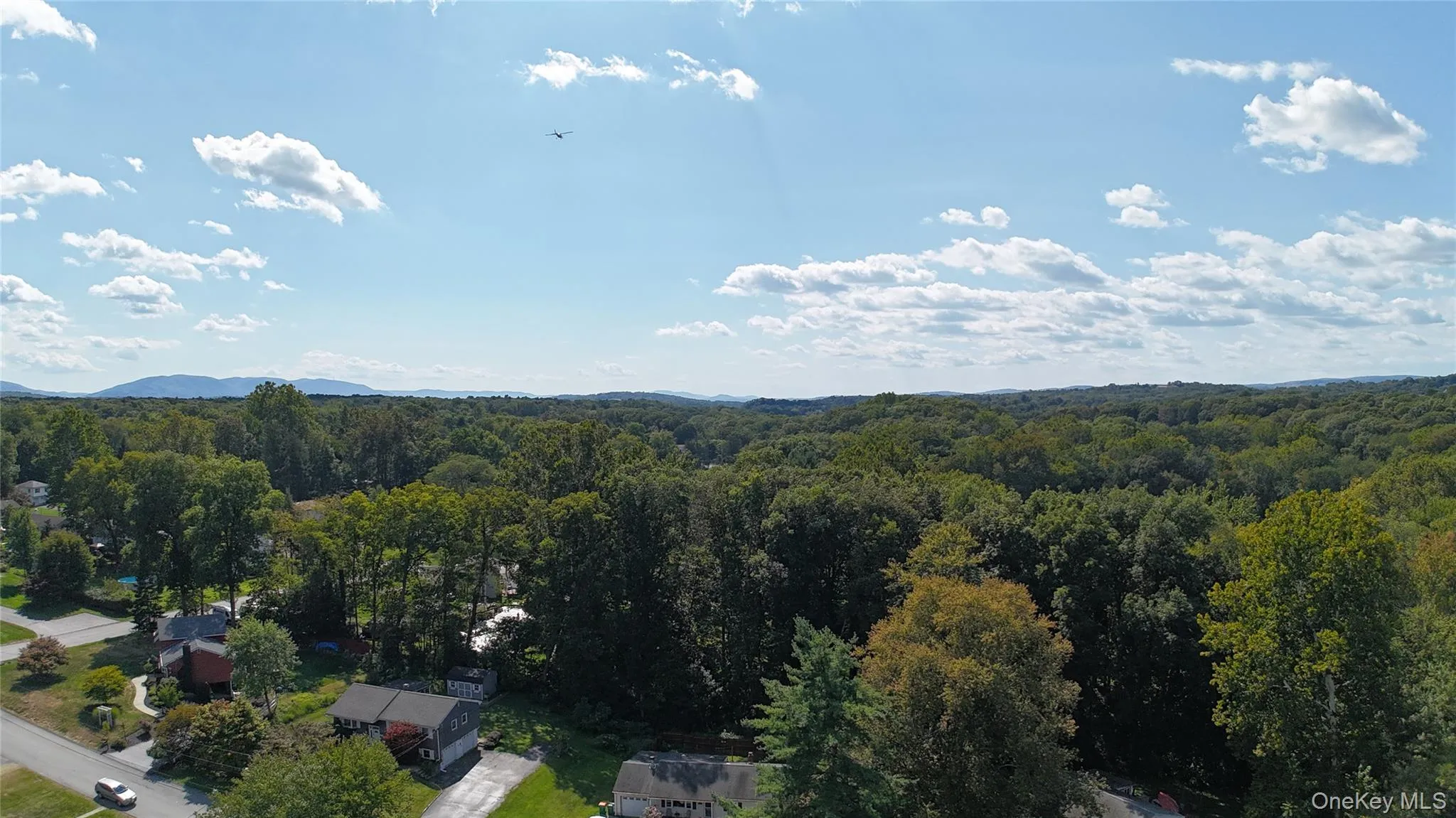 Bird\'s eye view of a forest Bird\'s eye view of a forest