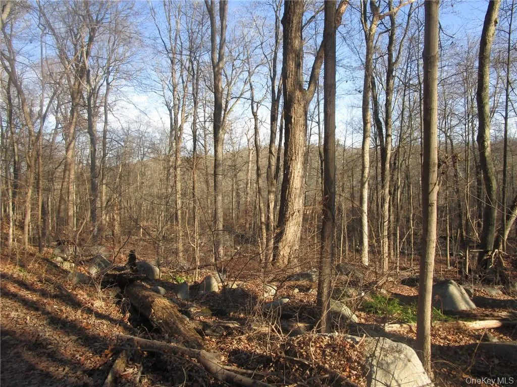 Brookside/Bear Mtn Parkway Avenue, Cortlandt, NY, ,Land,For Rent,Brookside/Bear Mtn Parkway,0,912921 Brookside/Bear Mtn Parkway Avenue, Cortlandt, NY, ,Land,For Rent,Brookside/Bear Mtn Parkway,0,912921