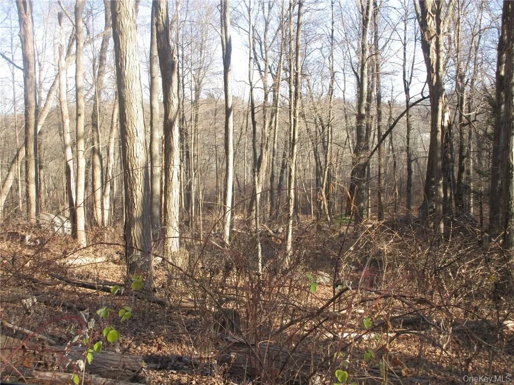 Brookside/Bear Mtn Parkway Avenue, Cortlandt, NY, ,Land,For Rent,Brookside/Bear Mtn Parkway,0,912921 Brookside/Bear Mtn Parkway Avenue, Cortlandt, NY, ,Land,For Rent,Brookside/Bear Mtn Parkway,0,912921