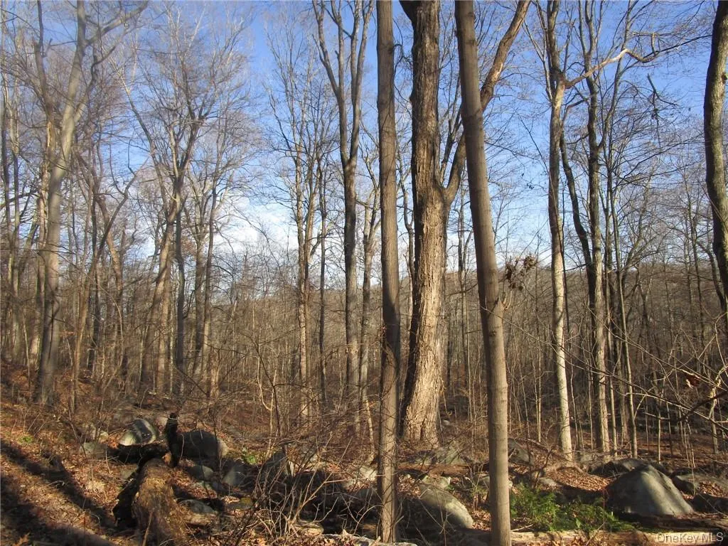 Brookside/Bear Mtn Parkway Avenue, Cortlandt, NY, ,Land,For Rent,Brookside/Bear Mtn Parkway,0,912921 Brookside/Bear Mtn Parkway Avenue, Cortlandt, NY, ,Land,For Rent,Brookside/Bear Mtn Parkway,0,912921