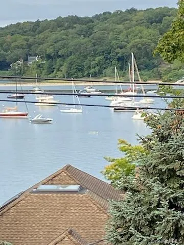 Water view with a forest Water view with a forest