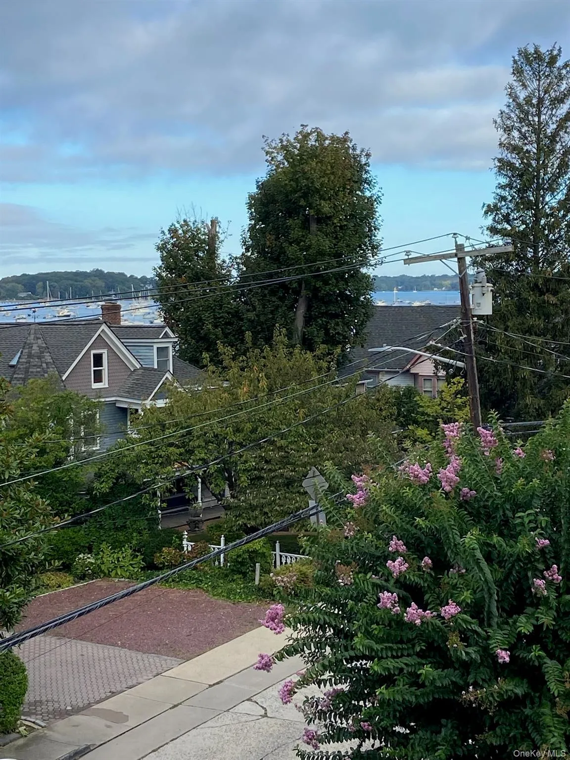 View of yard View of yard