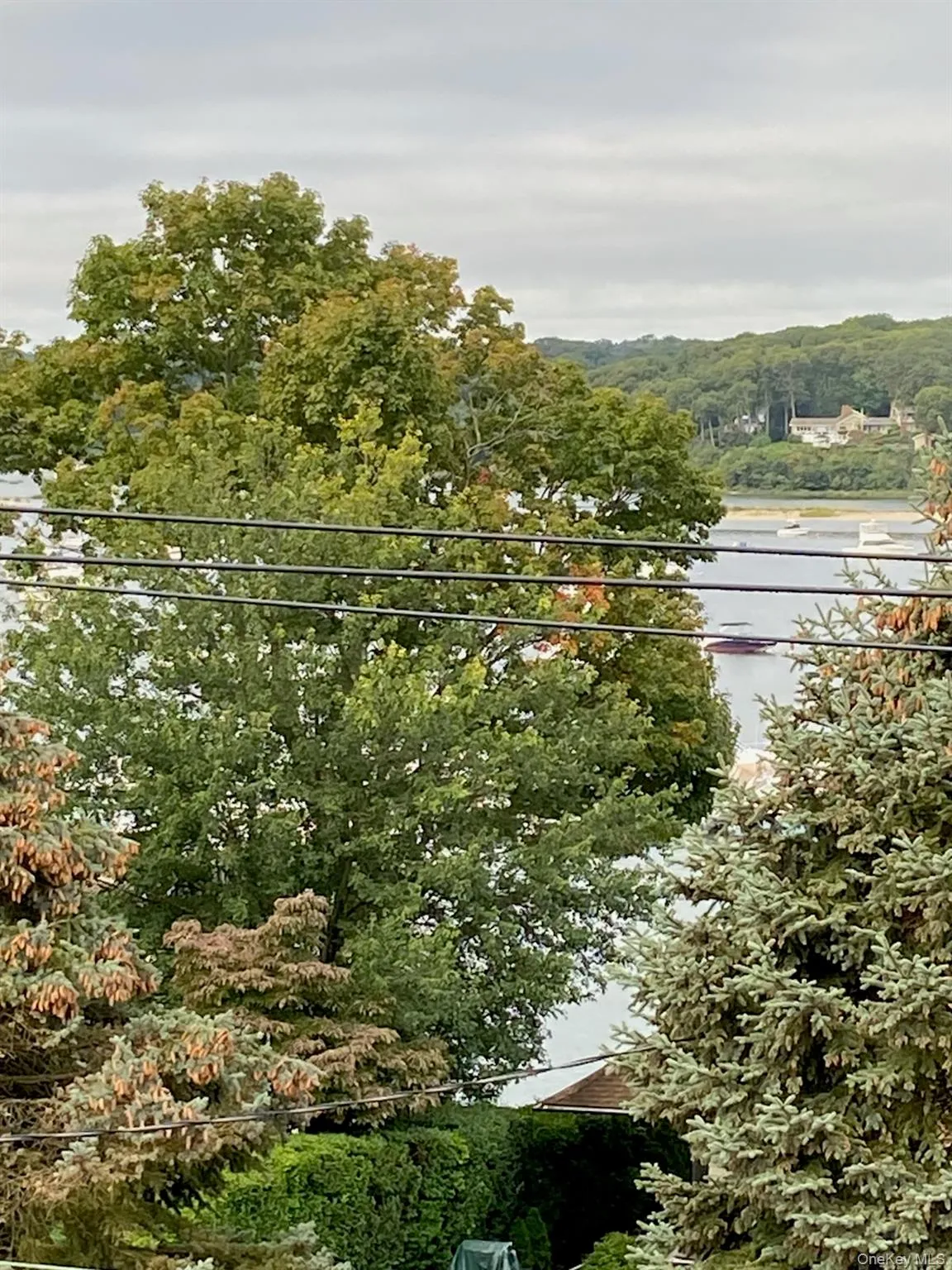 View of tree filled area featuring a water view View of tree filled area featuring a water view