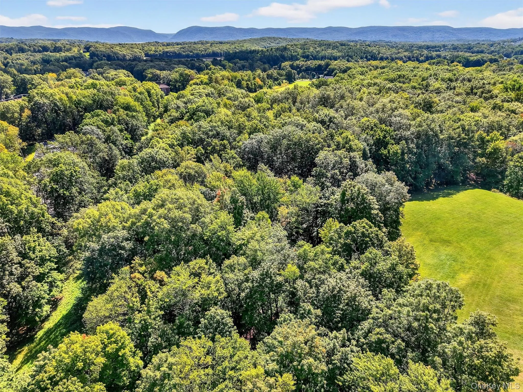 Bird's eye view of a mountain backdrop and a forest Bird's eye view of a mountain backdrop and a forest