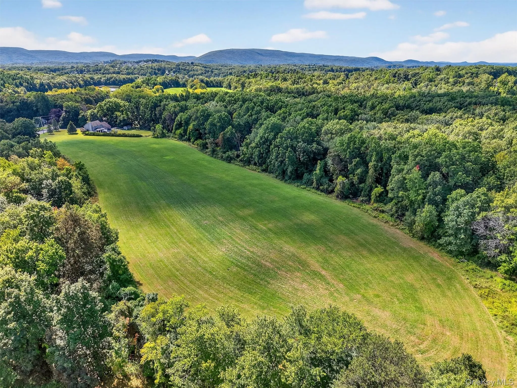 Drone / aerial view of a forest and mountains Drone / aerial view of a forest and mountains