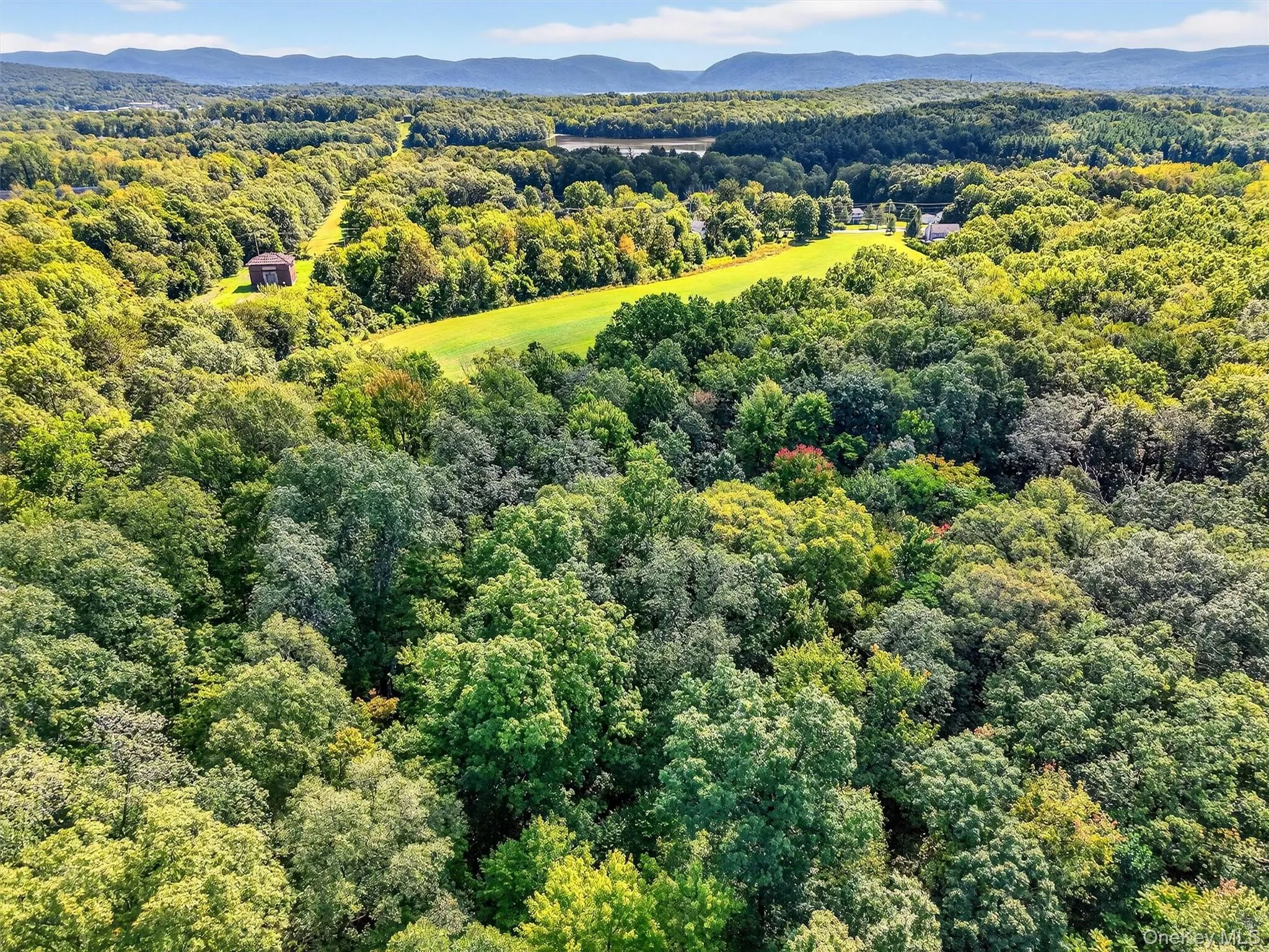 Drone / aerial view of a forest and a mountain backdrop Drone / aerial view of a forest and a mountain backdrop