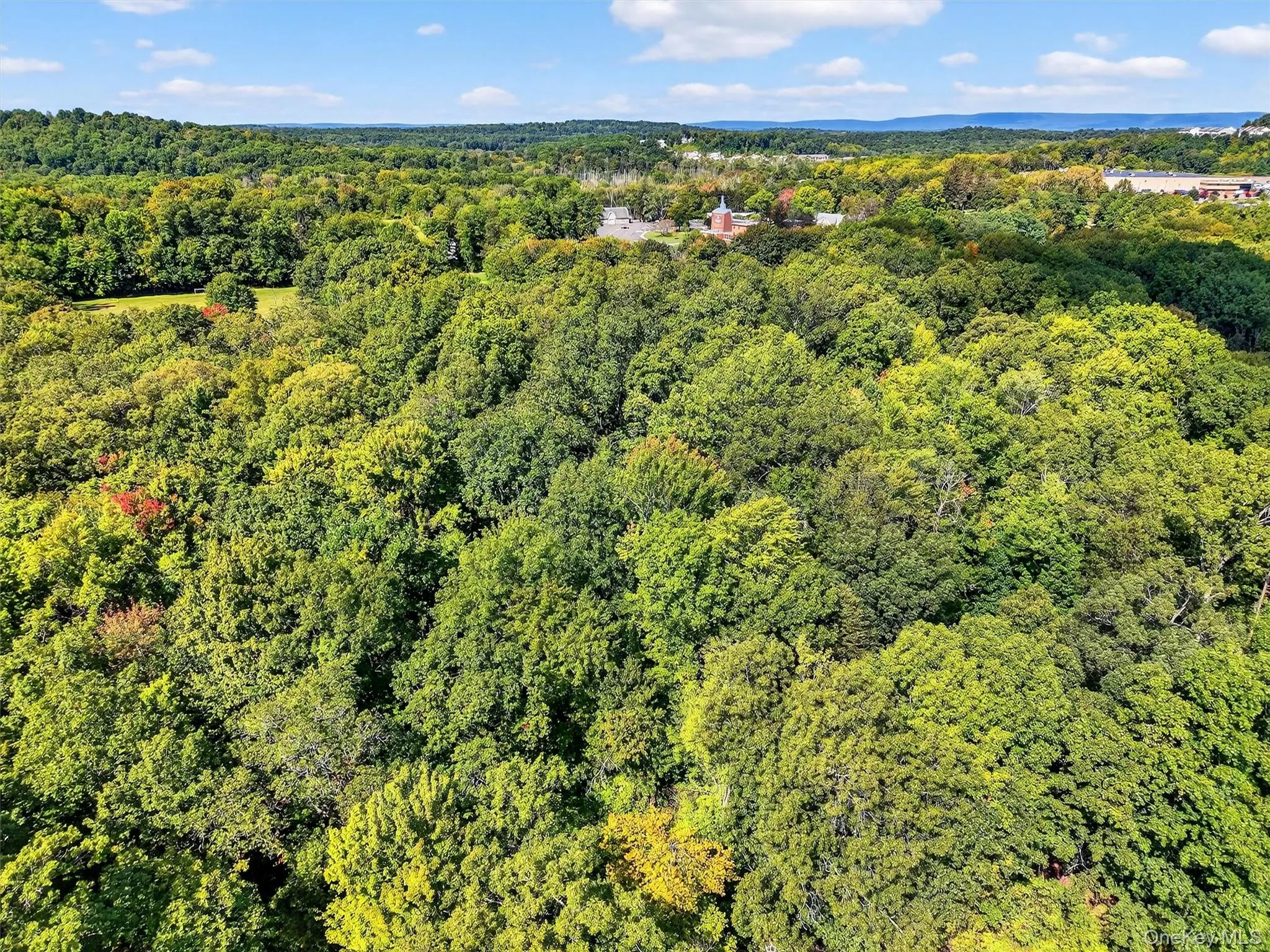 Aerial view of a forest Aerial view of a forest