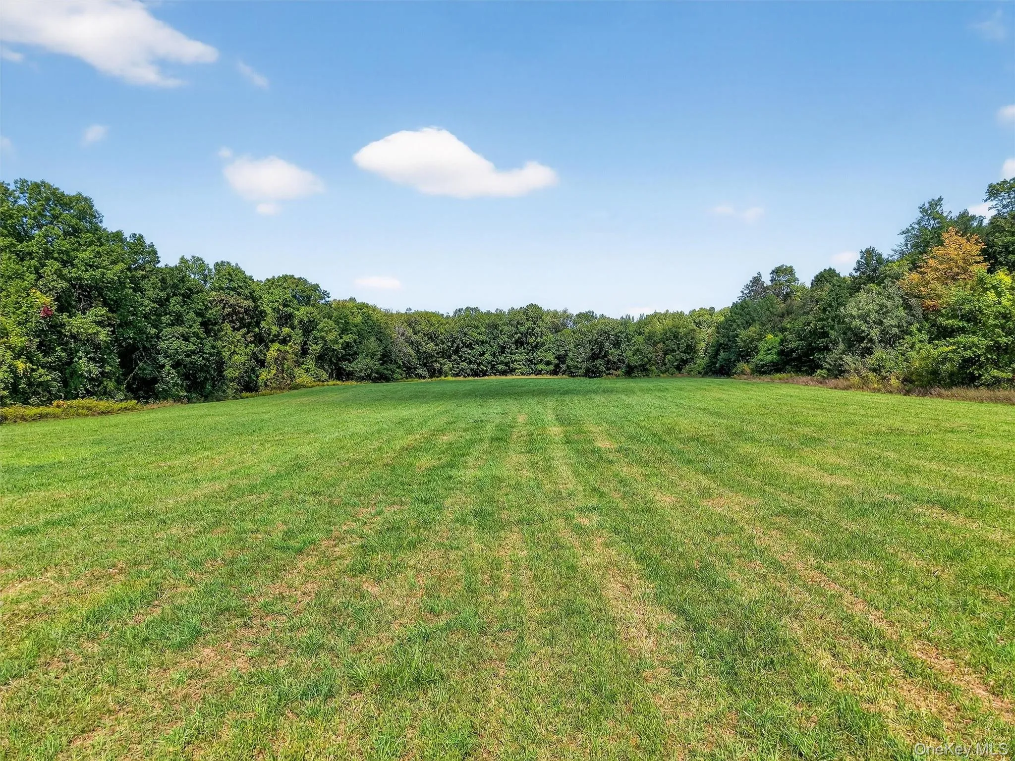 View of grassy yard with a view of trees and a rural view View of grassy yard with a view of trees and a rural view