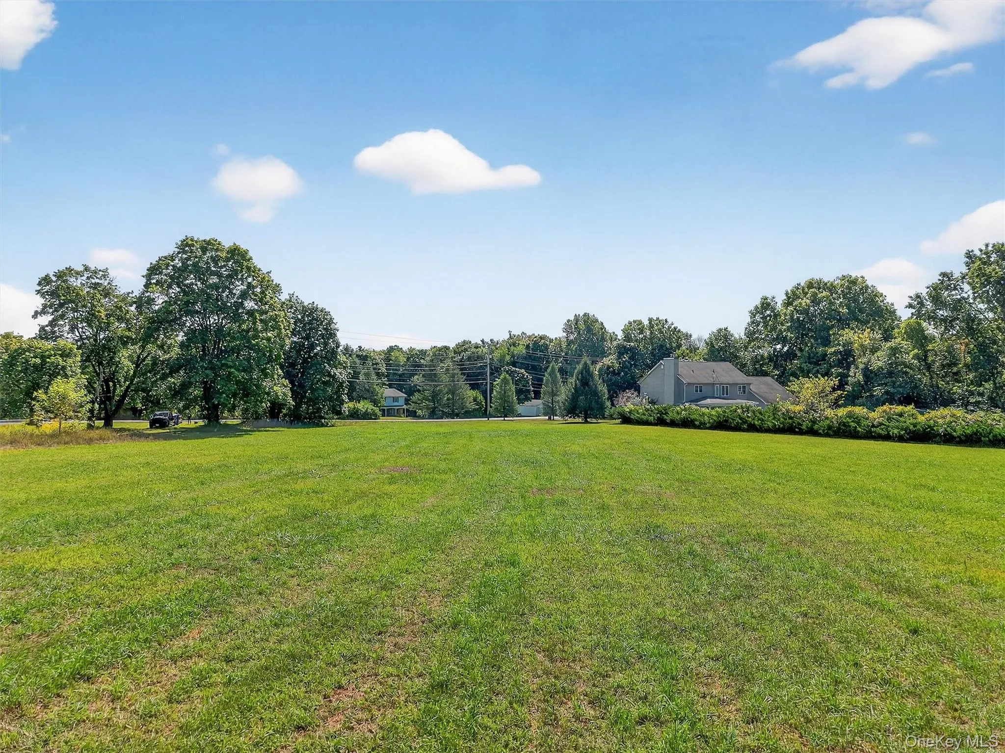 View of green lawn featuring view of scattered trees View of green lawn featuring view of scattered trees