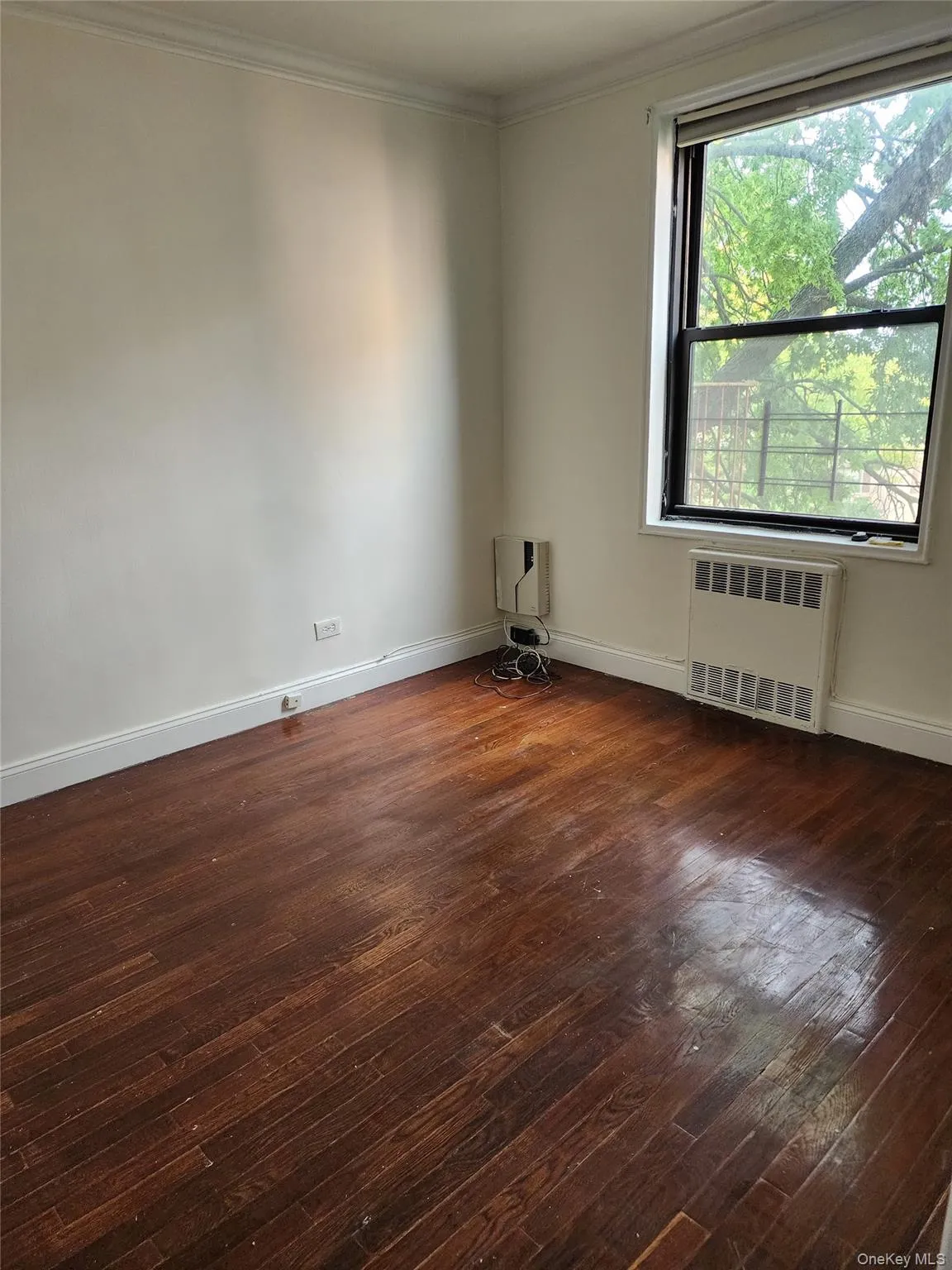 Spare room with radiator heating unit, dark wood finished floors, and ornamental molding Spare room with radiator heating unit, dark wood finished floors, and ornamental molding