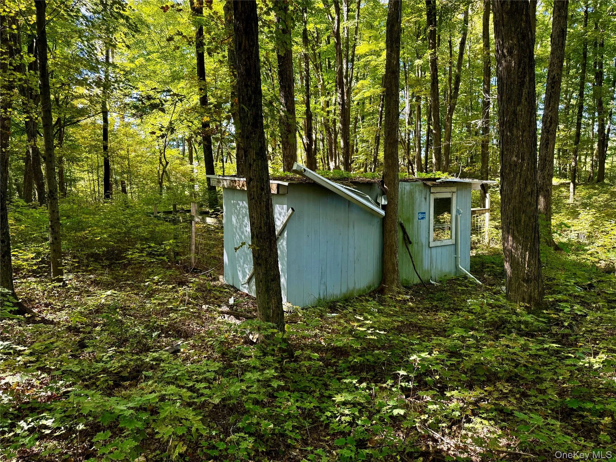 View of shed featuring a forest view View of shed featuring a forest view