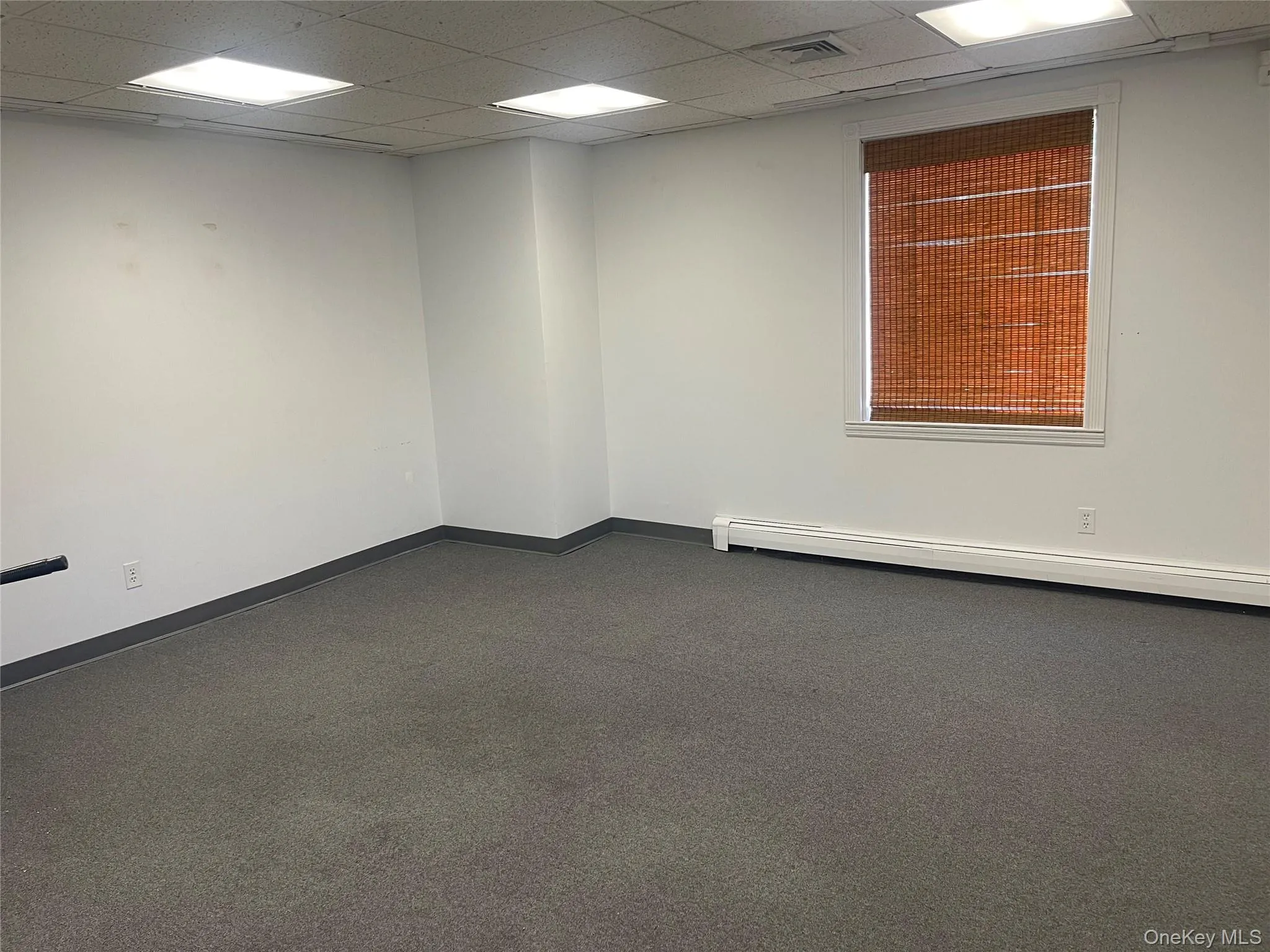 Carpeted office room with a drop ceiling and baseboard Carpeted office room with a drop ceiling and baseboard