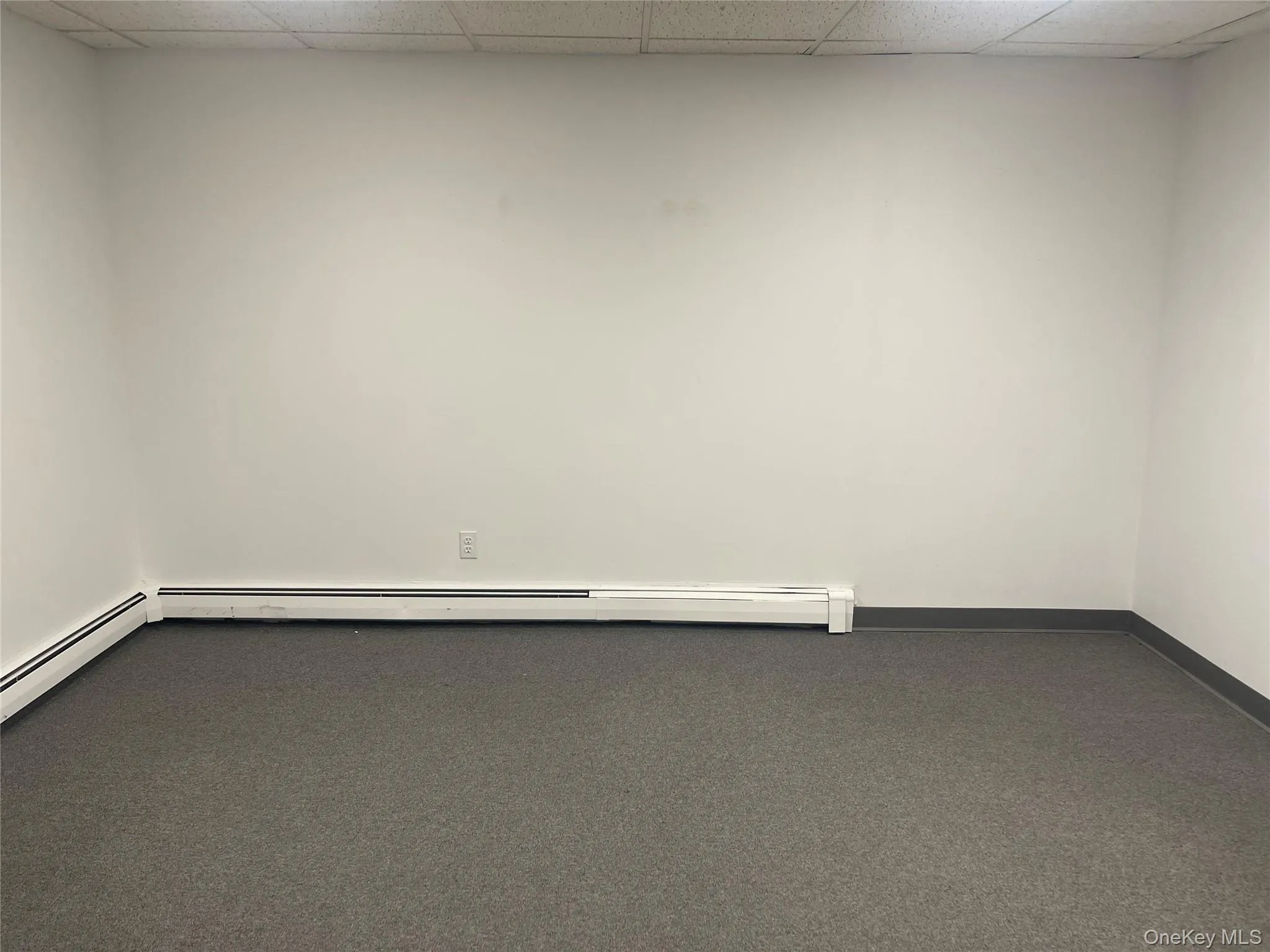 Office room featuring a drop ceiling, carpet, and a baseboard heating unit Office room featuring a drop ceiling, carpet, and a baseboard heating unit