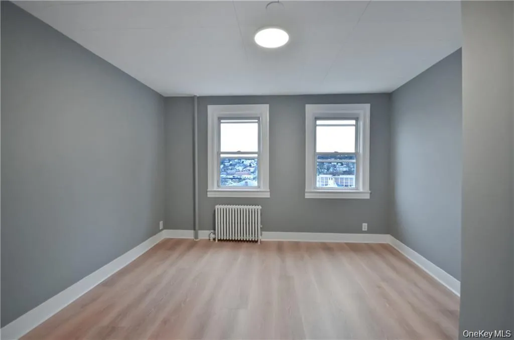 Spare room with light wood-style flooring and radiator Spare room with light wood-style flooring and radiator