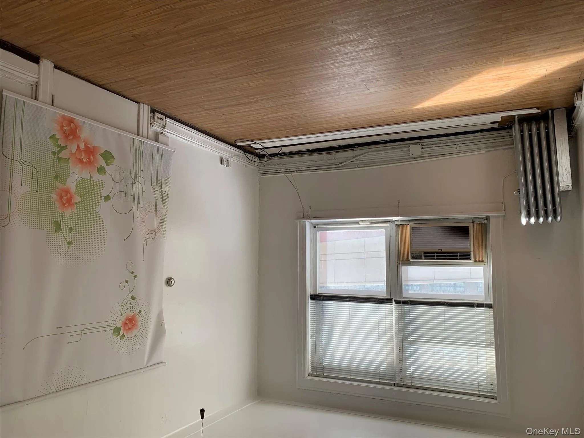 Unfurnished room featuring light wood-type flooring and radiator Unfurnished room featuring light wood-type flooring and radiator