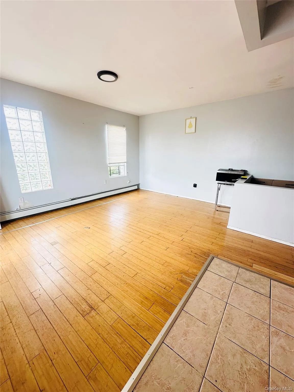 Unfurnished living room featuring a baseboard radiator and light wood-style flooring Unfurnished living room featuring a baseboard radiator and light wood-style flooring