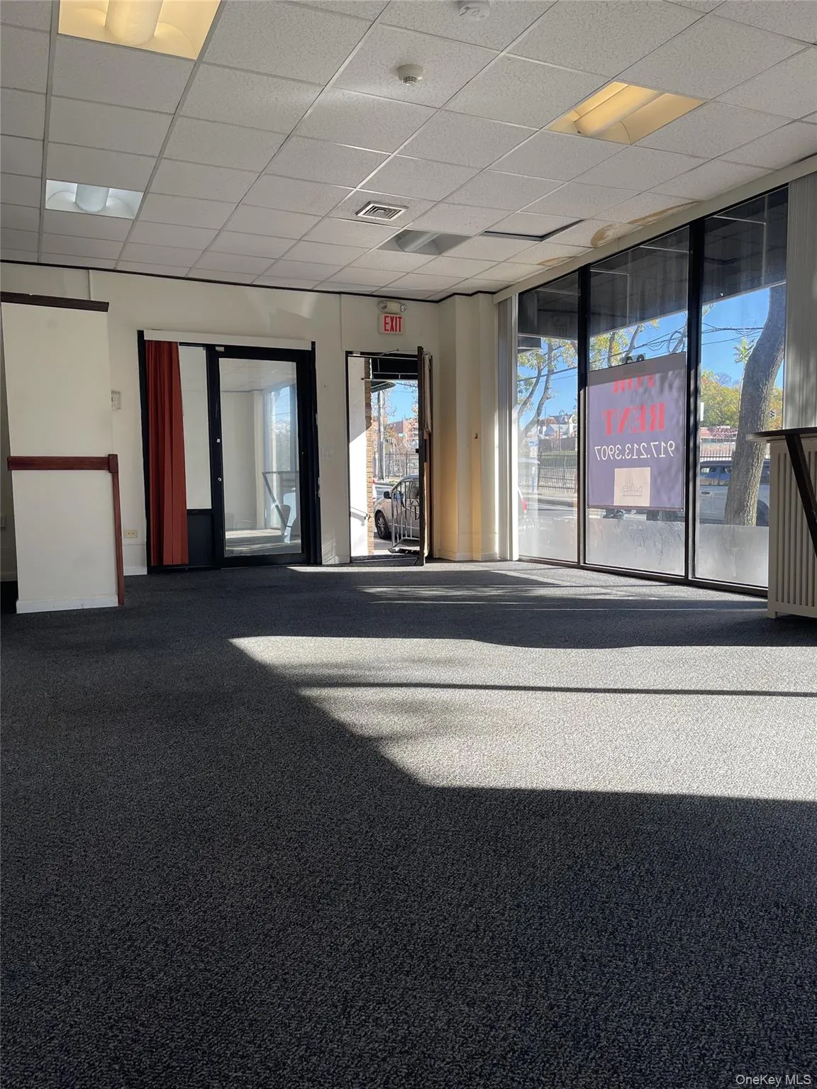 Carpeted spare room with a drop ceiling and baseboards Carpeted spare room with a drop ceiling and baseboards