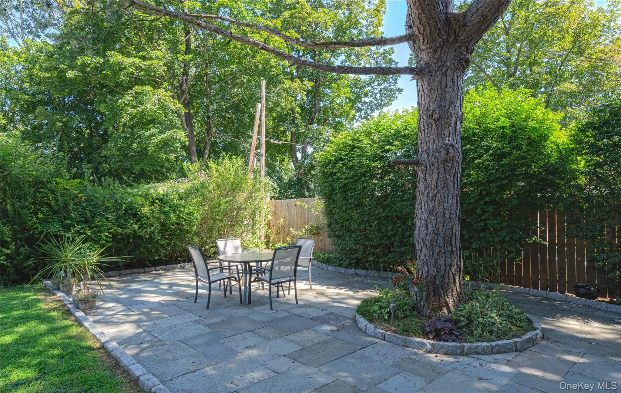 Shared patio Shared patio