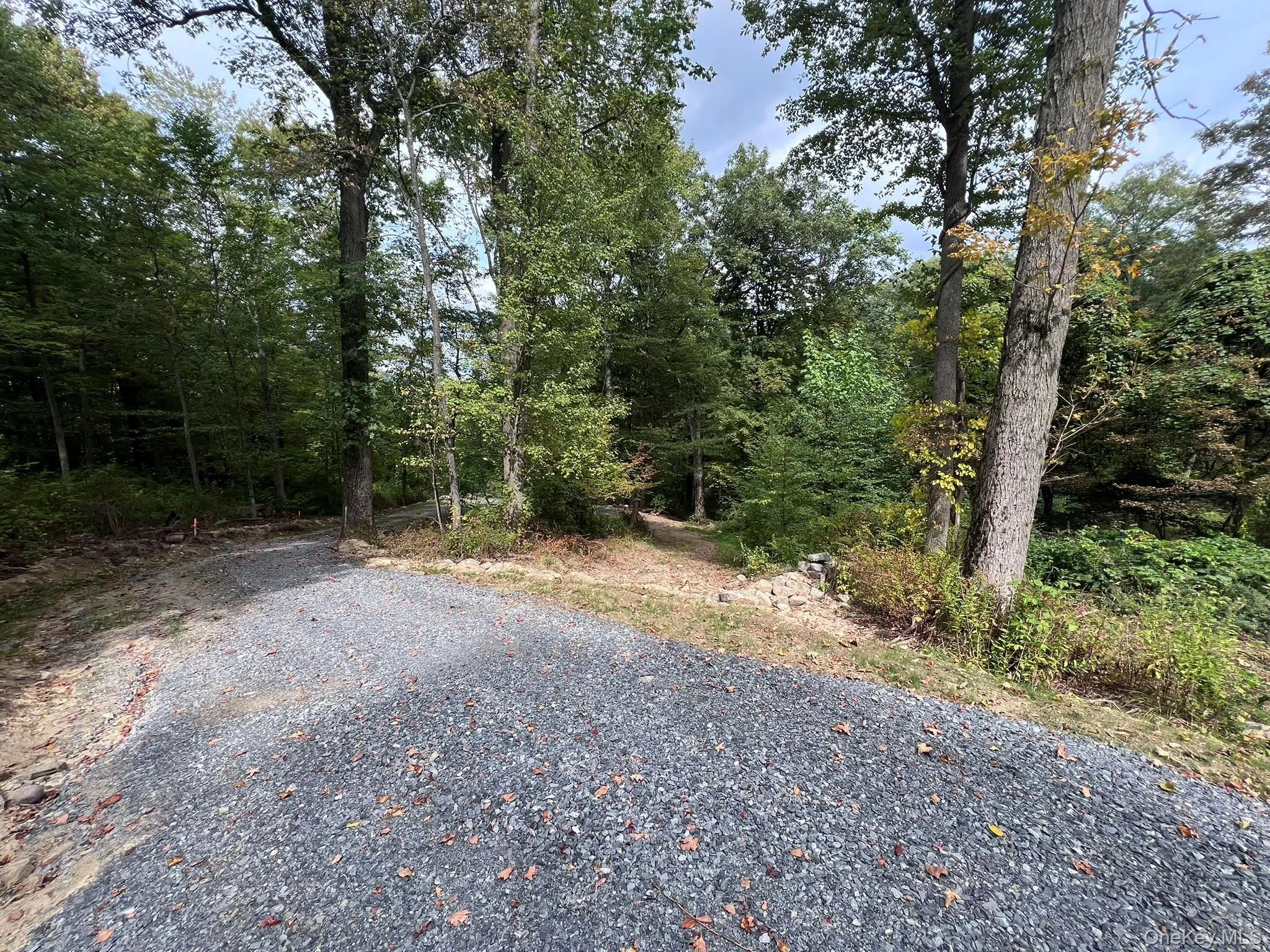 Sloping Wooded Lot Sloping Wooded Lot