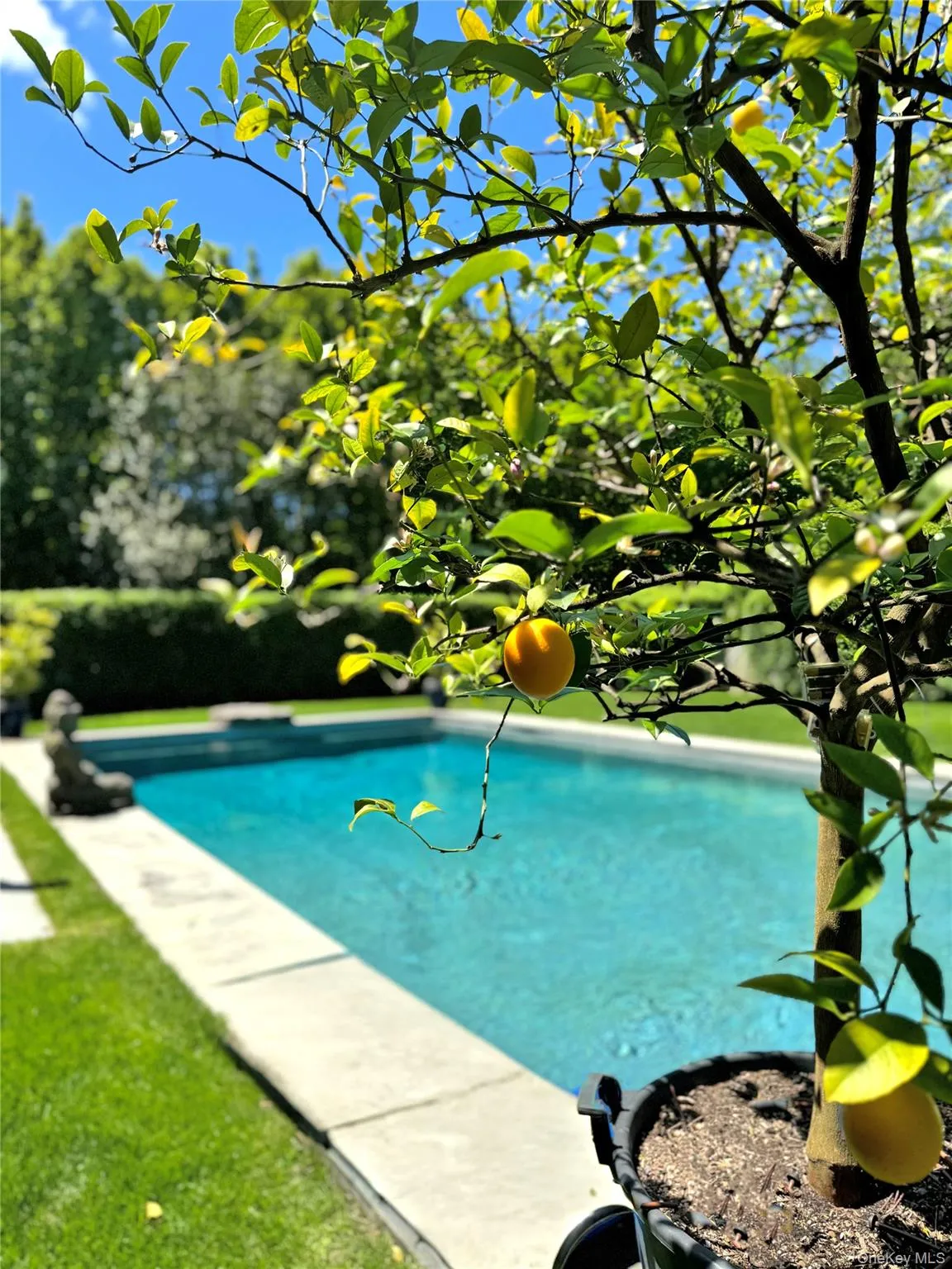 View of outdoor pool View of outdoor pool