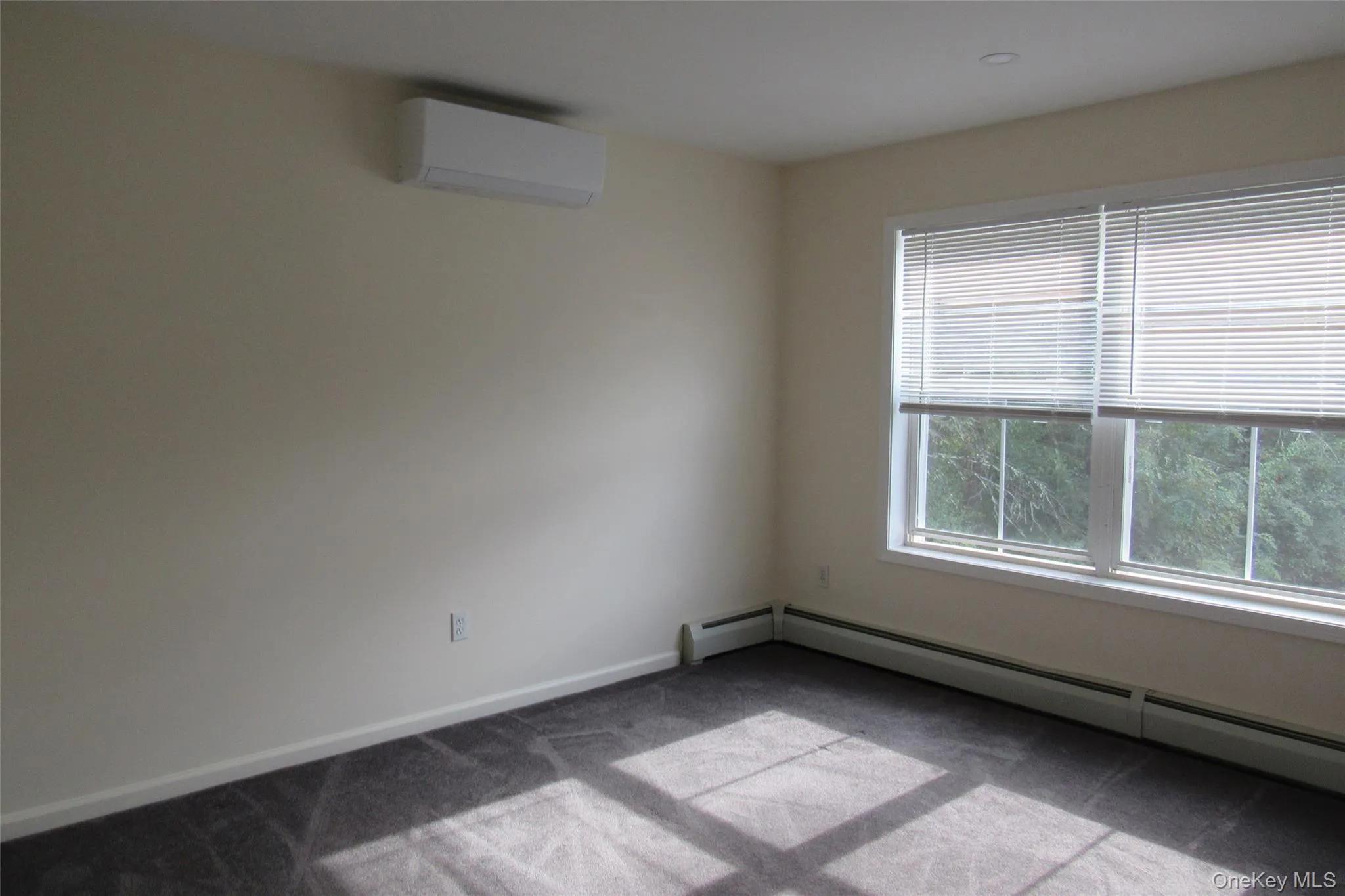 Carpeted room with a baseboard heating unit and an AC wall unit Carpeted room with a baseboard heating unit and an AC wall unit