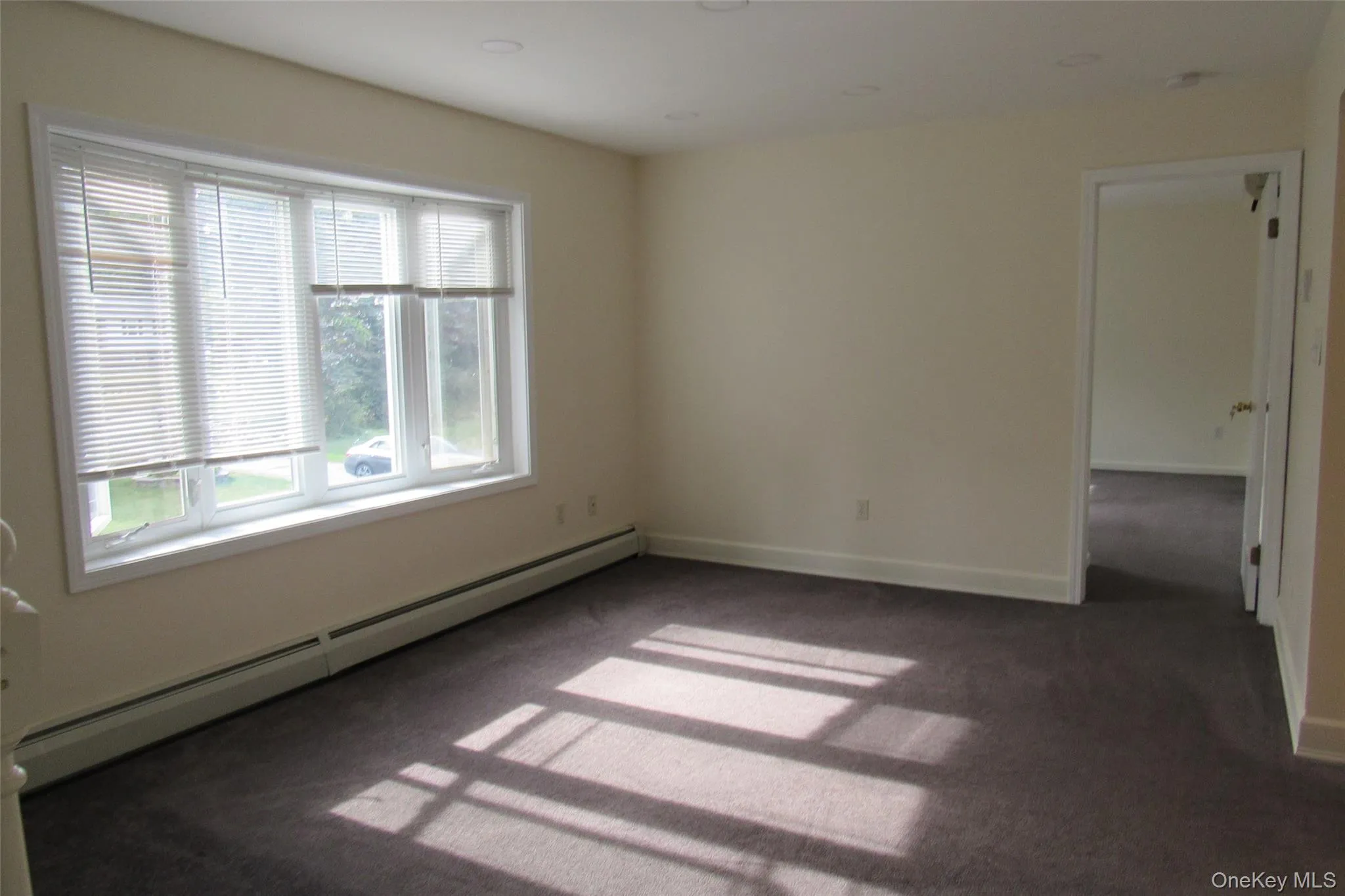 Living room with a baseboard heating unit and dark colored carpet Living room with a baseboard heating unit and dark colored carpet
