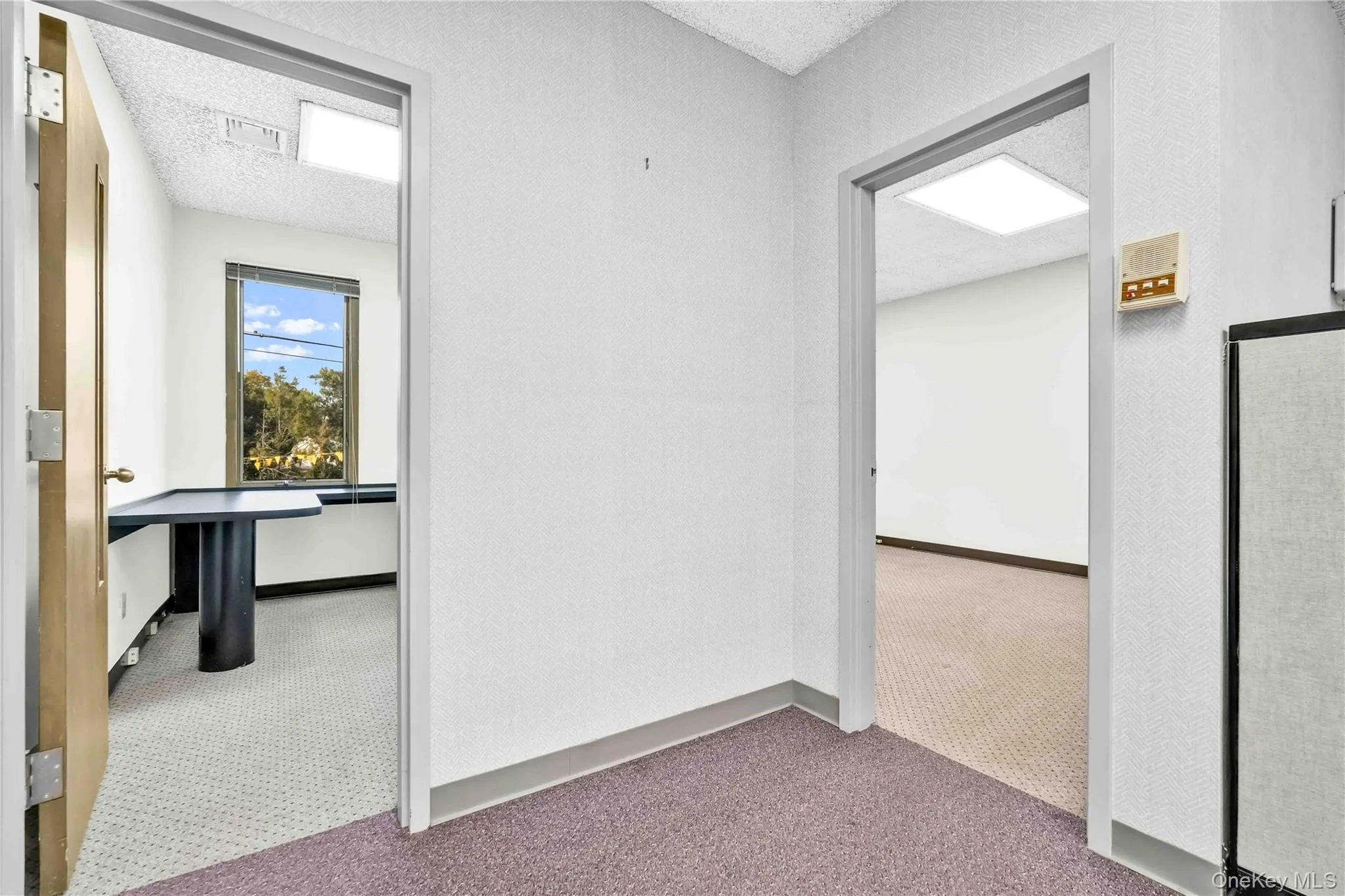 Hallway featuring carpet and a textured ceiling Hallway featuring carpet and a textured ceiling