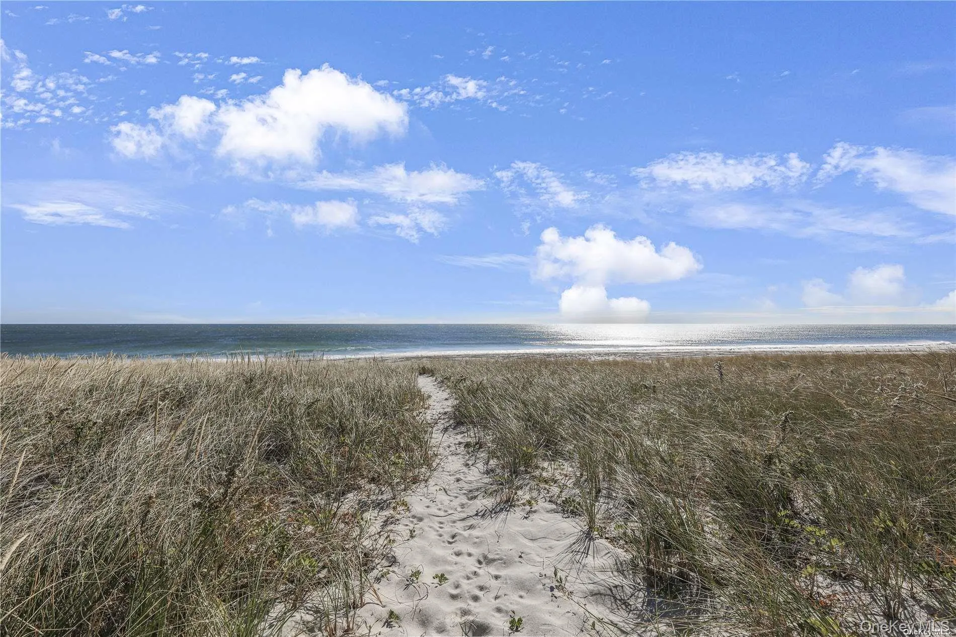 Ocean Dunes Ocean Dunes
