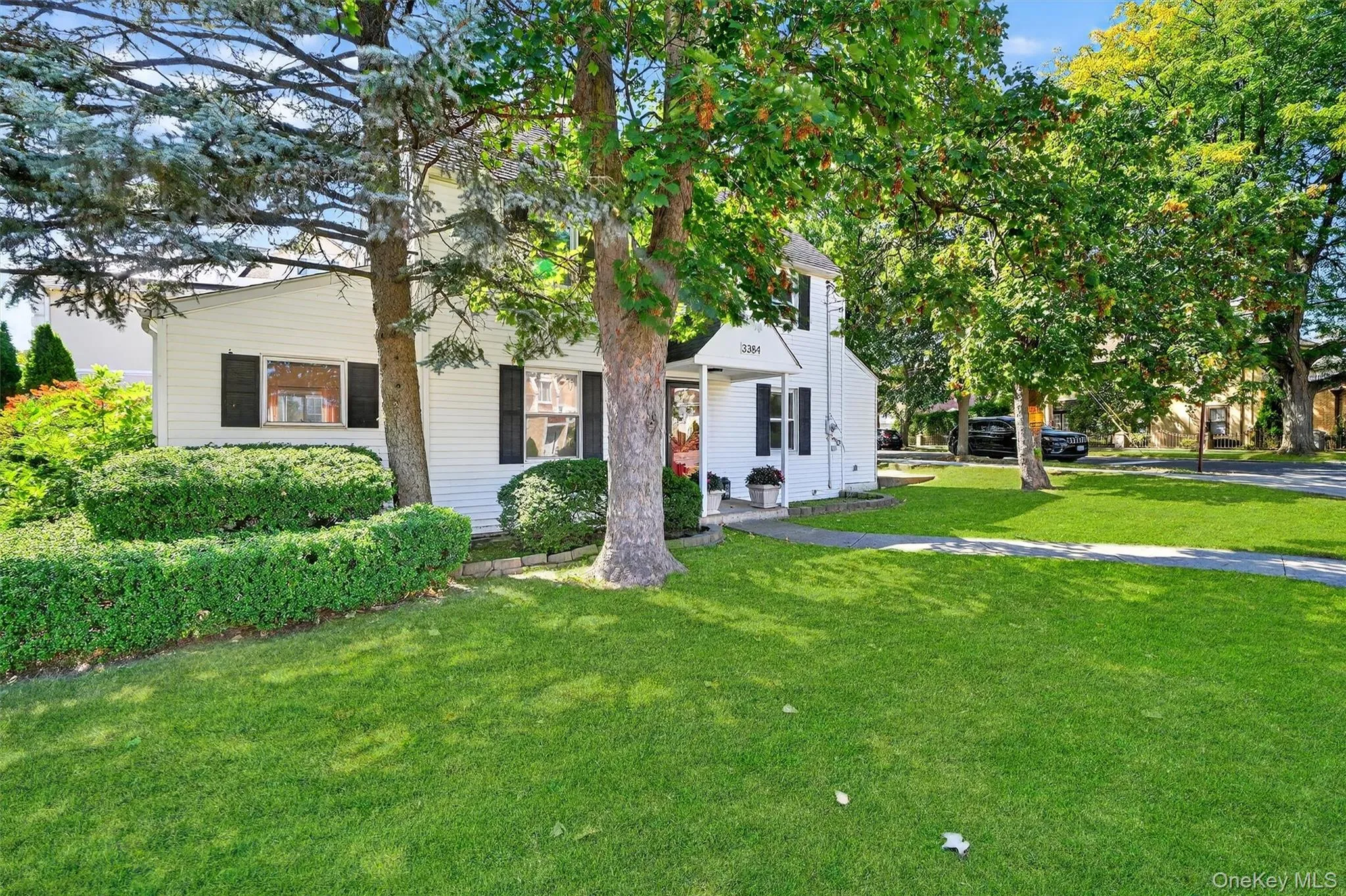 View of property hidden behind natural elements featuring a front yard View of property hidden behind natural elements featuring a front yard