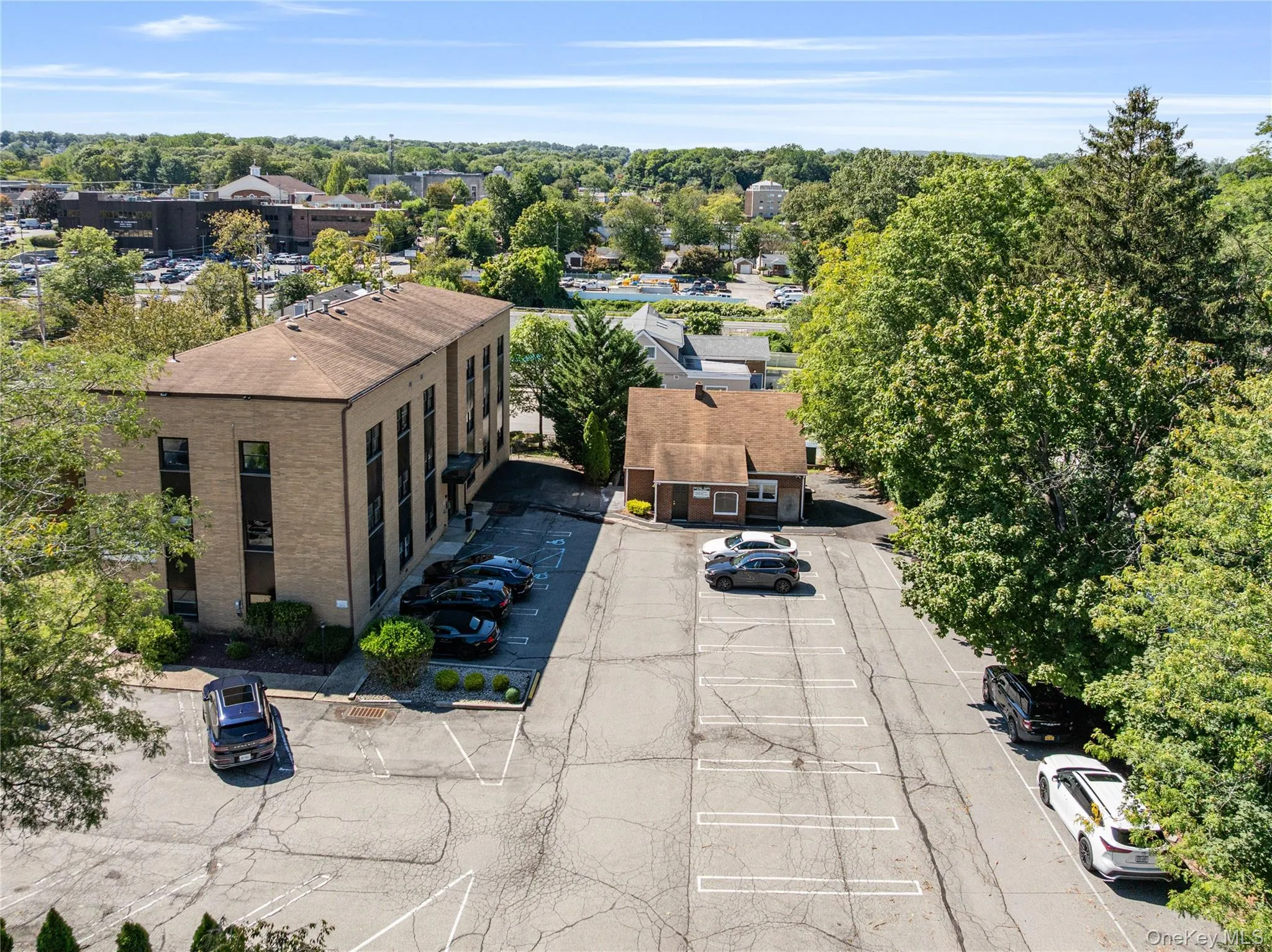 Bird\'s eye view of a tree filled landscape Bird\'s eye view of a tree filled landscape
