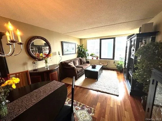 Living room featuring hardwood / wood-style flooring and a textured ceiling Living room featuring hardwood / wood-style flooring and a textured ceiling