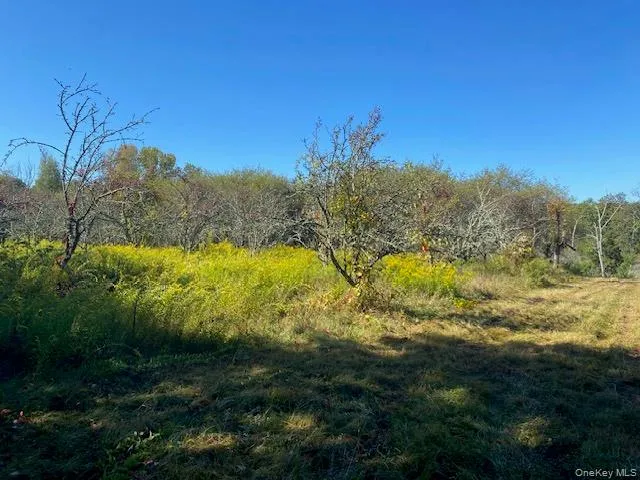 View of undeveloped land View of undeveloped land