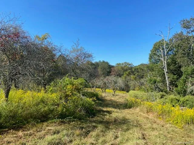 View of undeveloped land View of undeveloped land