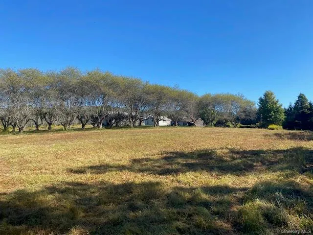 View of grassy yard featuring view of scattered trees and a view of rural / pastoral area View of grassy yard featuring view of scattered trees and a view of rural / pastoral area