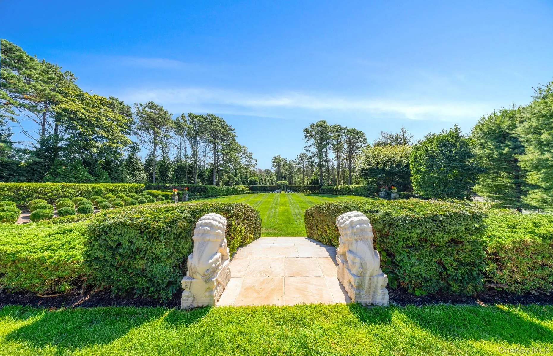 View of green lawn featuring view of scattered trees View of green lawn featuring view of scattered trees