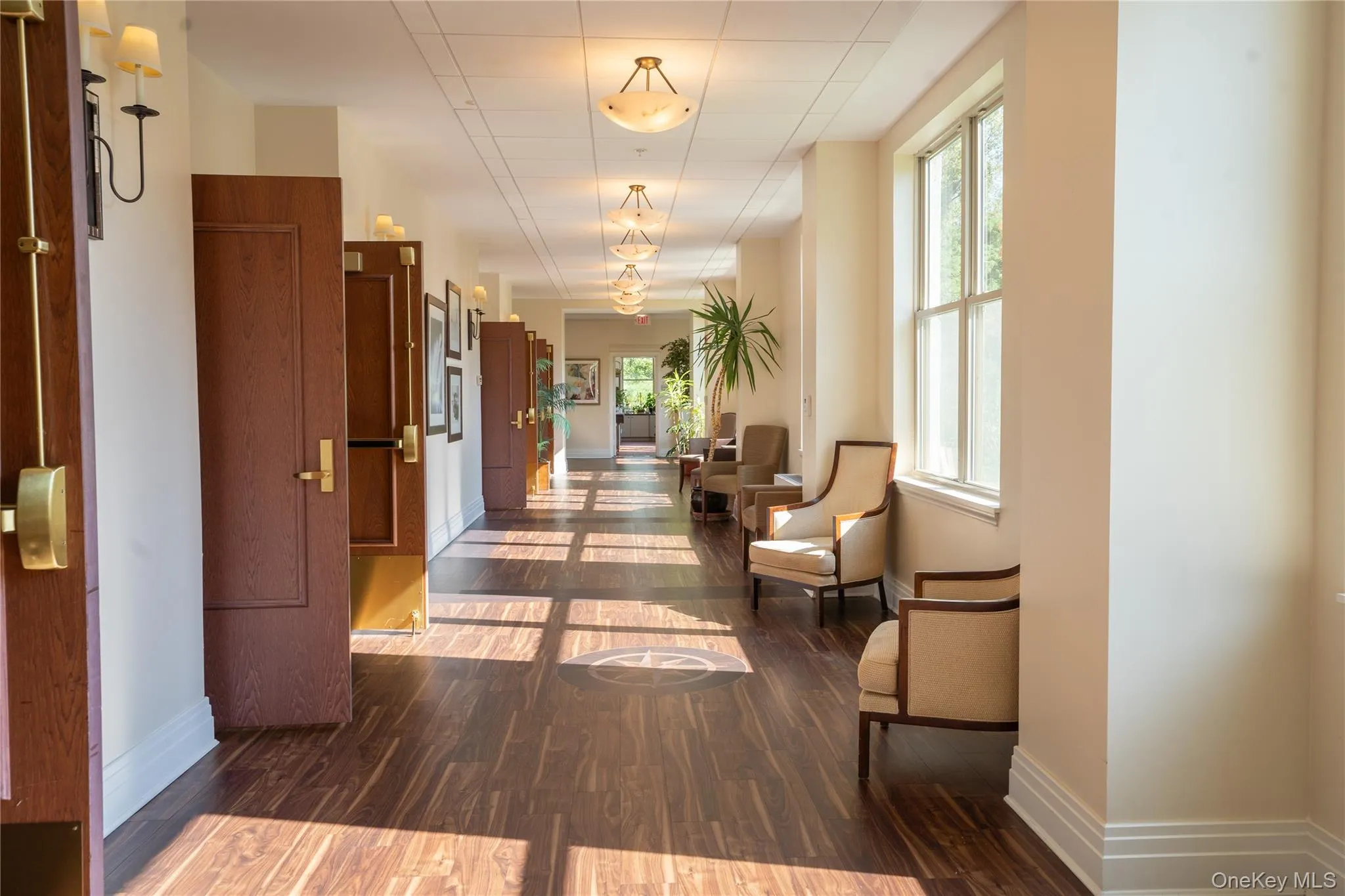 Hallway showing the beautiful natural light Hallway showing the beautiful natural light