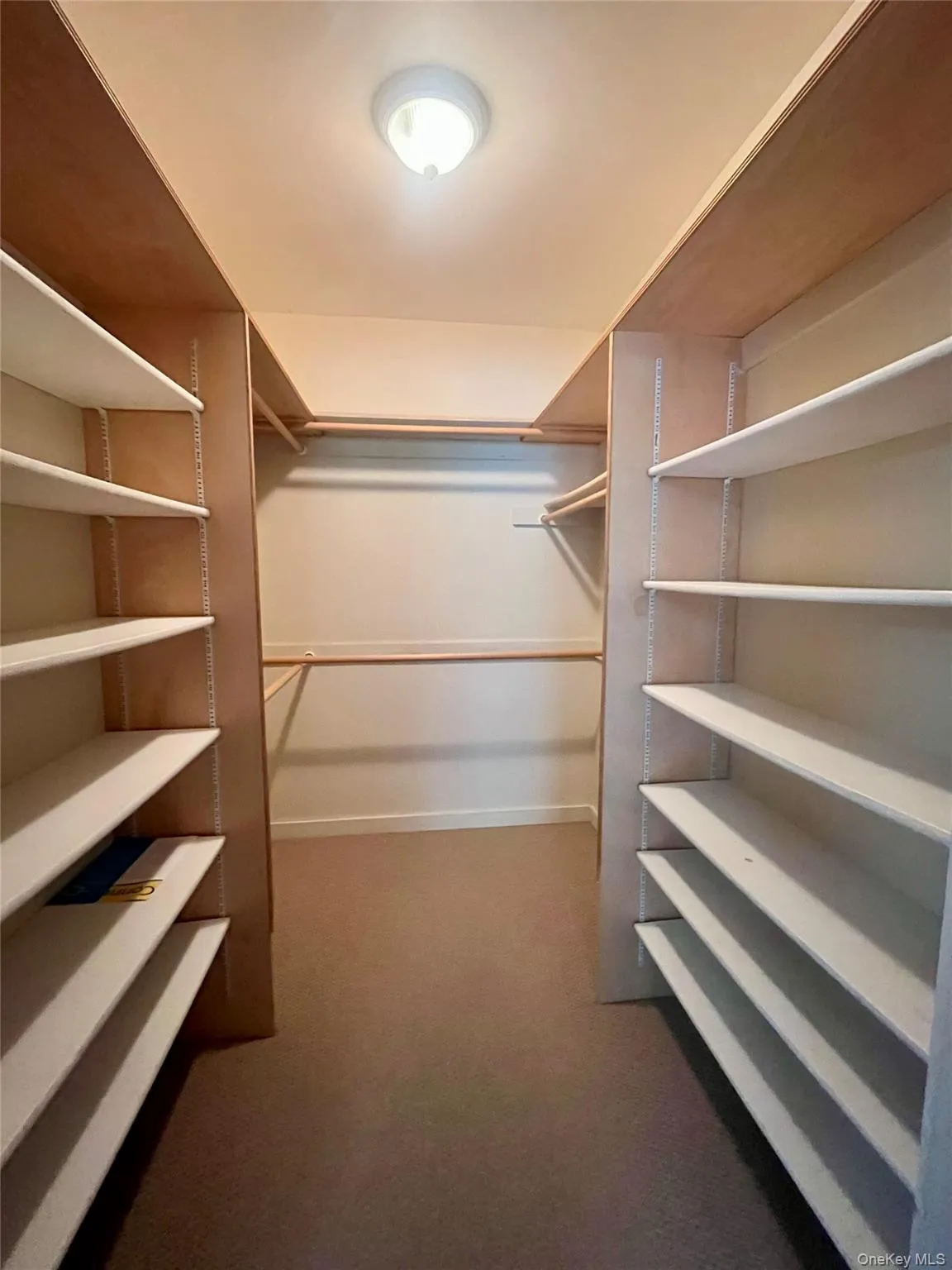 Spacious closet featuring dark colored carpet Spacious closet featuring dark colored carpet