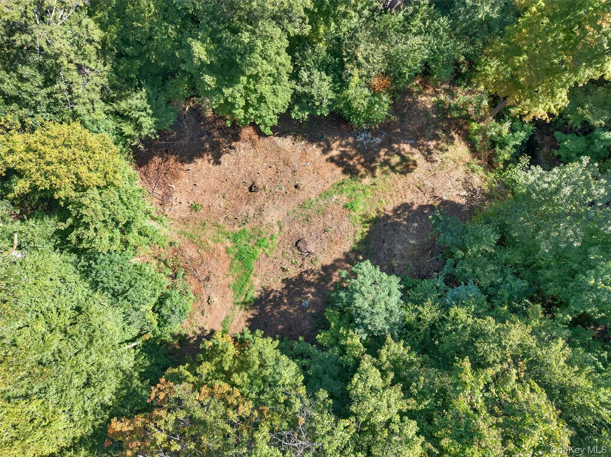 Aerial view of property's location with a forest Aerial view of property's location with a forest