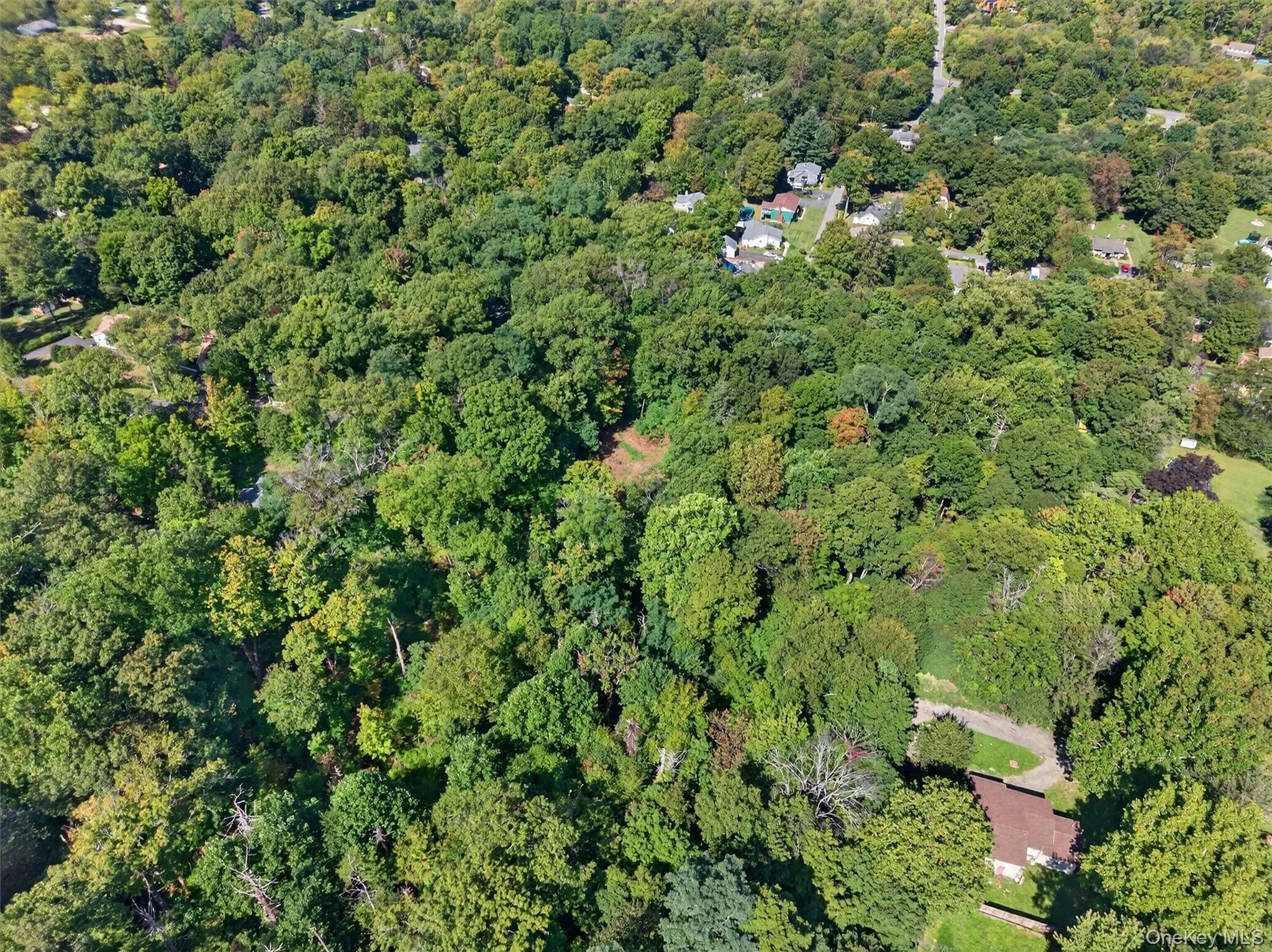 Aerial view of property and surrounding area with a forest Aerial view of property and surrounding area with a forest