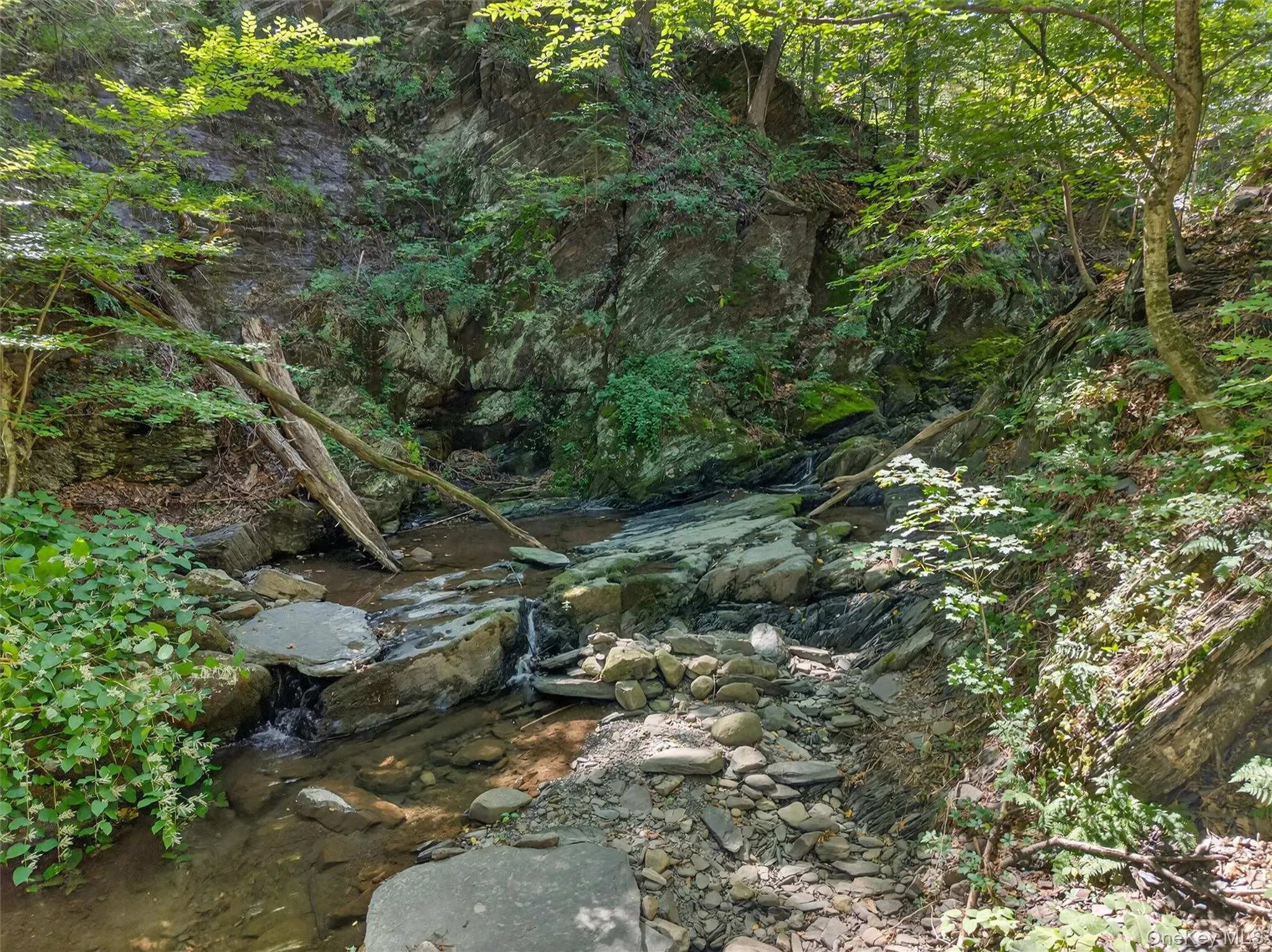 View of local wilderness View of local wilderness