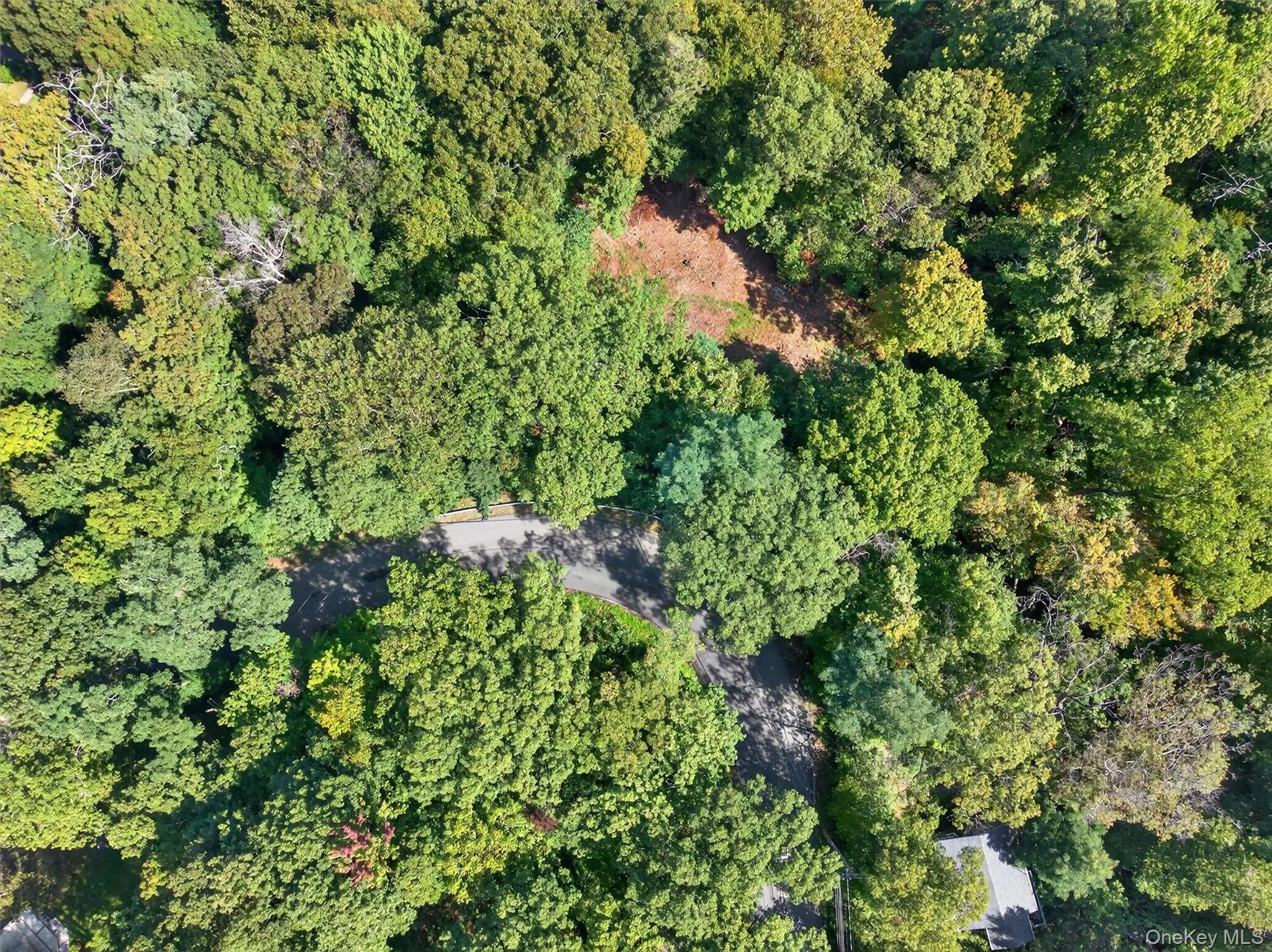 Aerial view of property's location with a forest Aerial view of property's location with a forest
