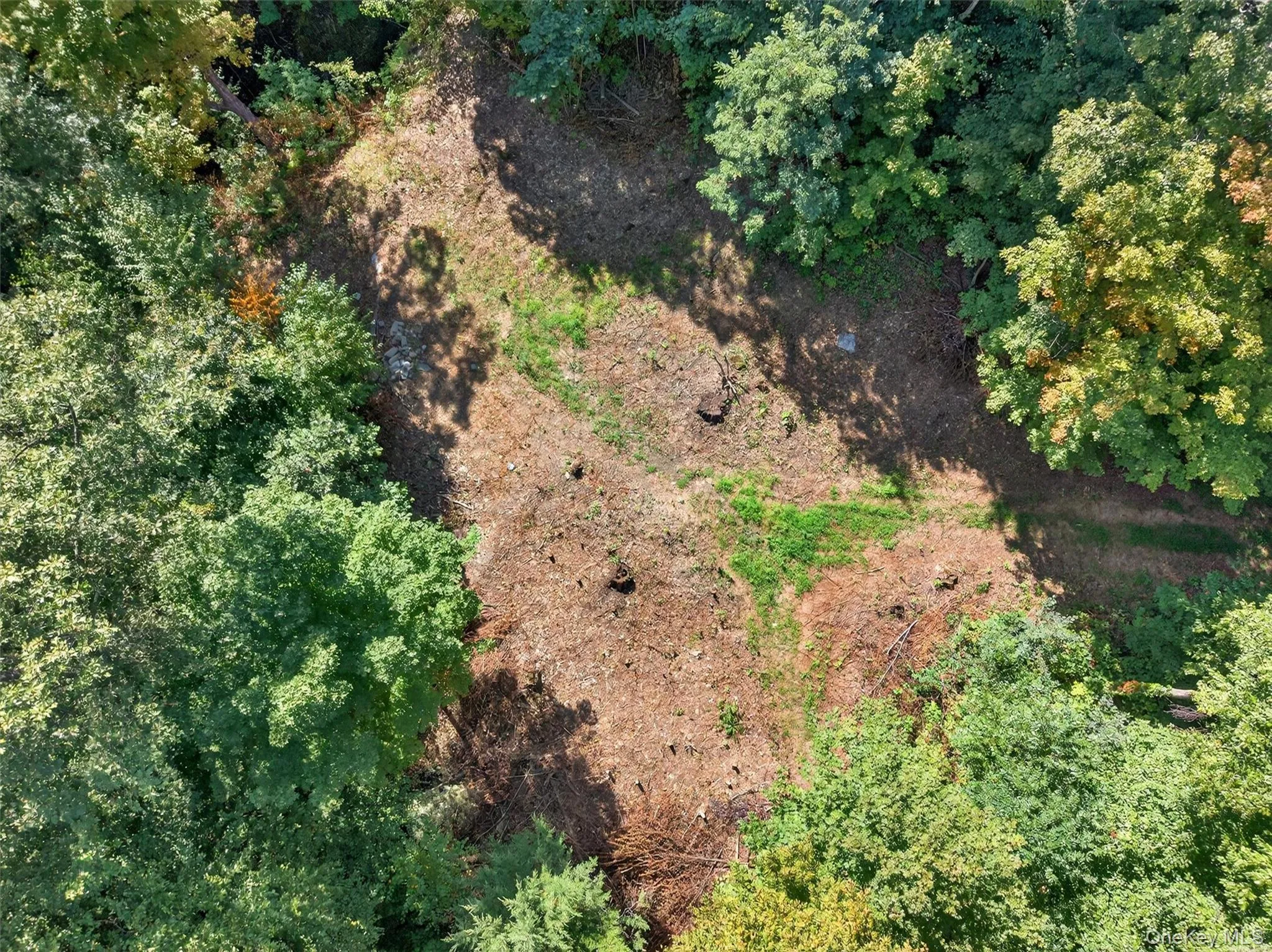 Cleared homesite area Cleared homesite area