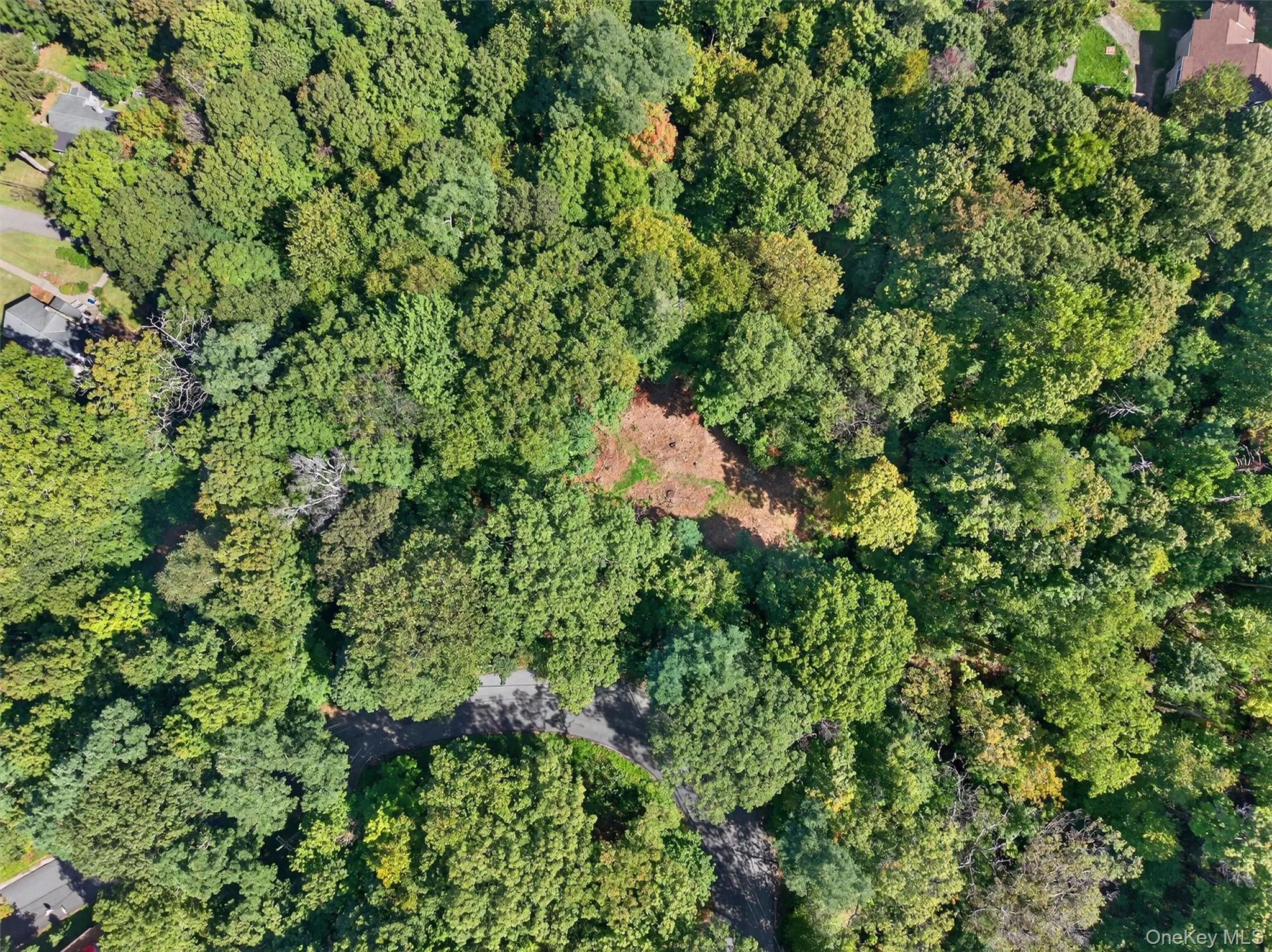 Aerial view of property's location with a forest Aerial view of property's location with a forest