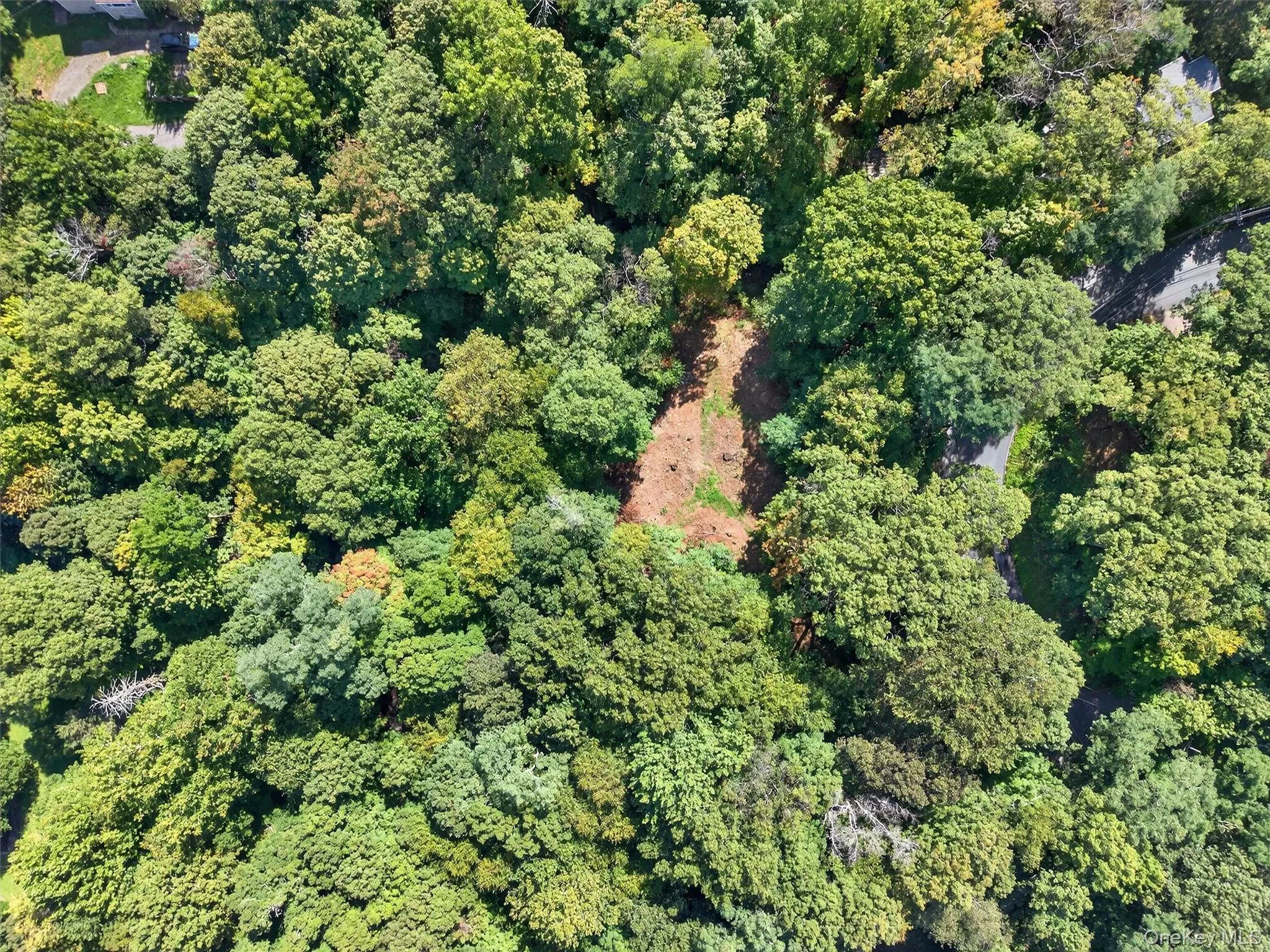 View of property location with a heavily wooded area View of property location with a heavily wooded area