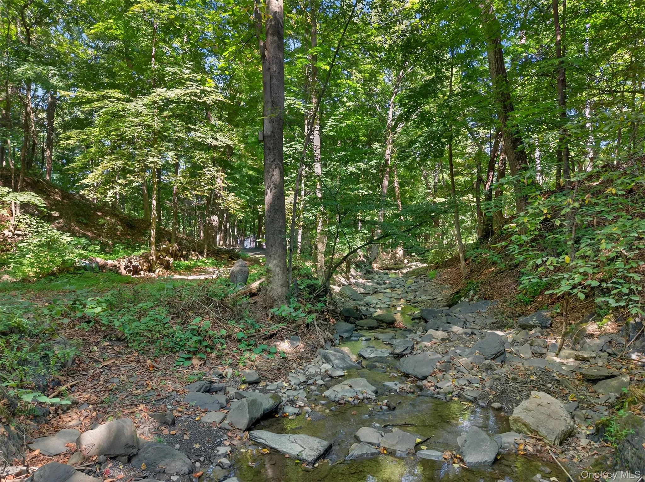 View of wooded area View of wooded area