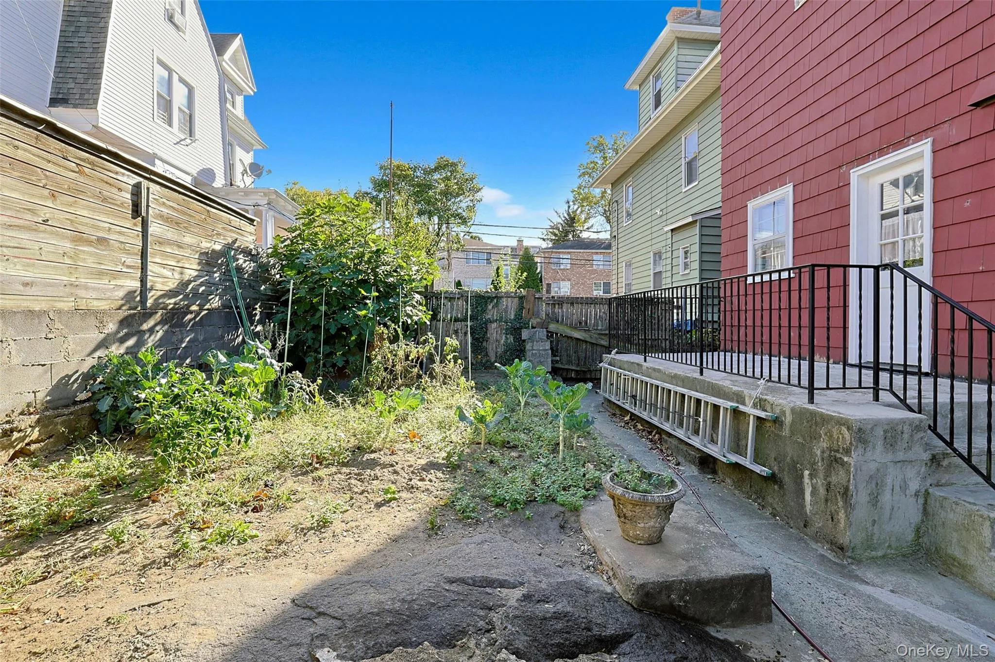 View of yard View of yard