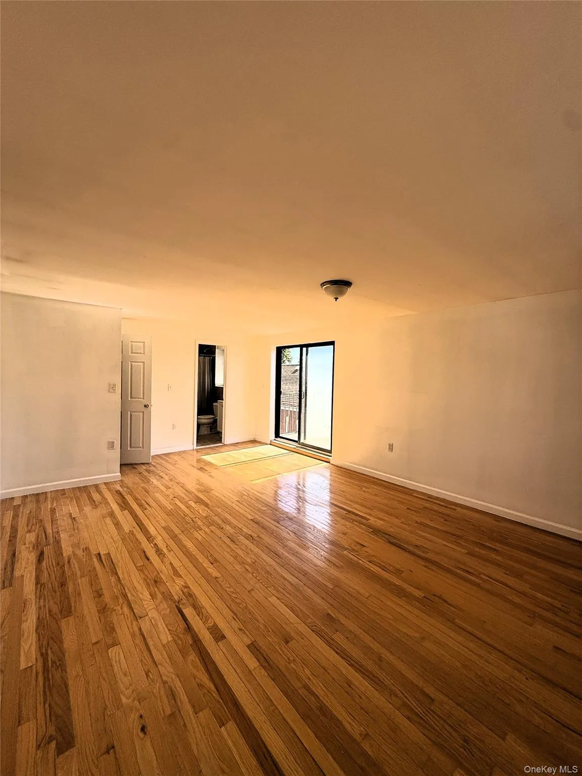 Empty room featuring light wood-style flooring and baseboards Empty room featuring light wood-style flooring and baseboards